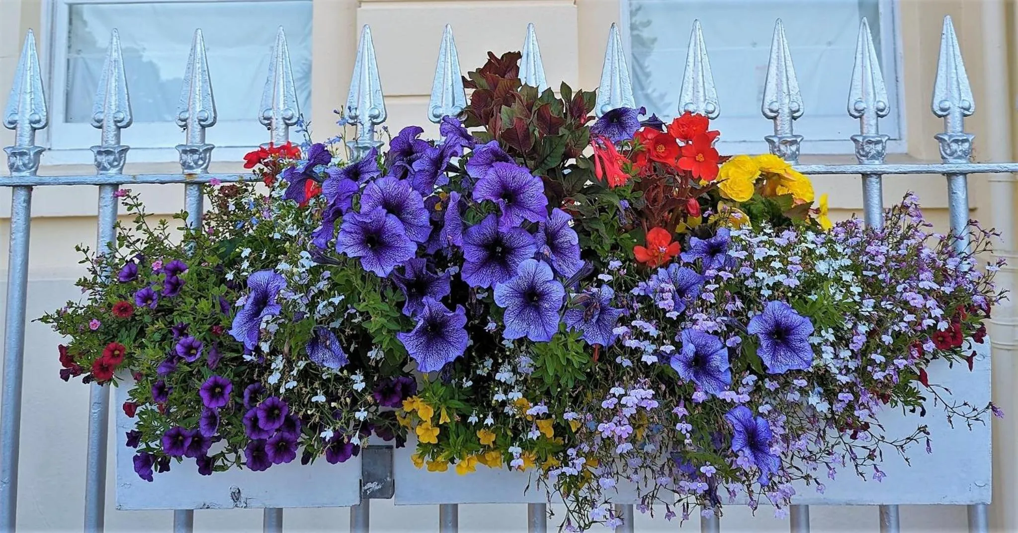 Garden in The Osborne Apartments