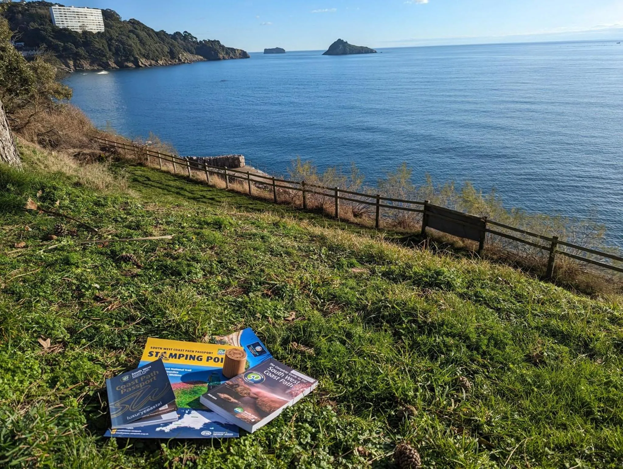 Garden in The Osborne Apartments