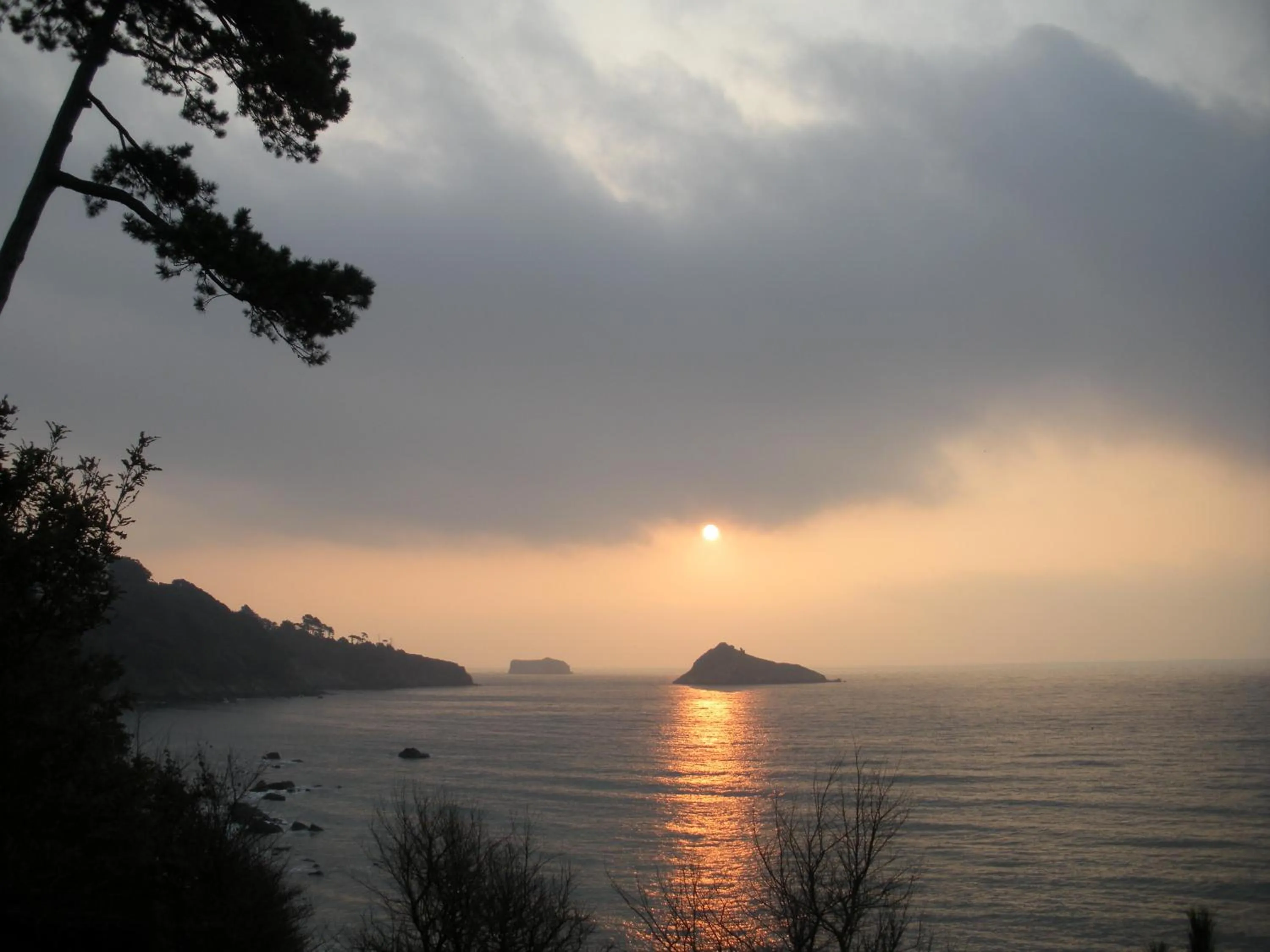 Location in The Osborne Apartments