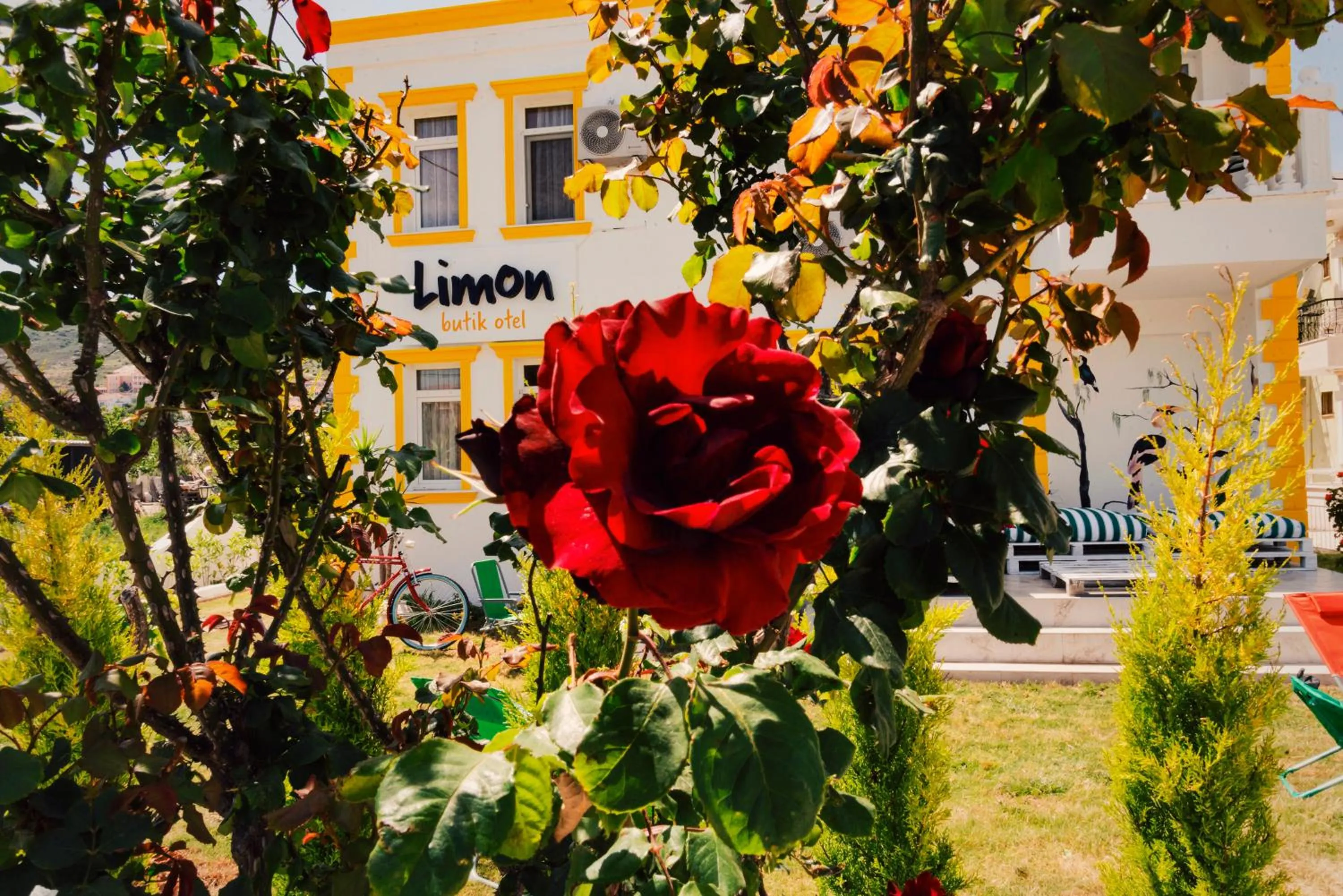 Natural landscape in Limon Pansiyon