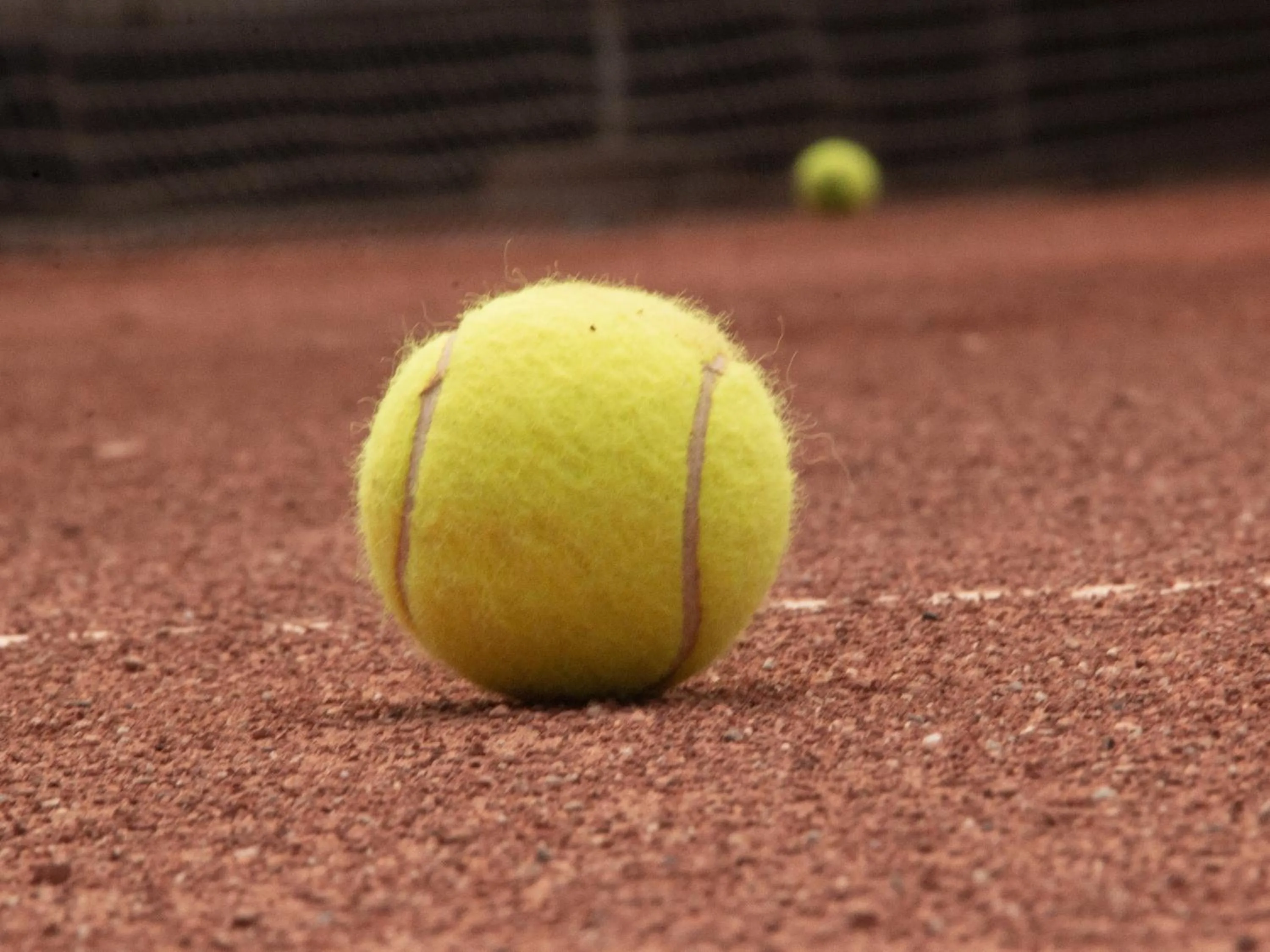 Activities in Hotel Khail