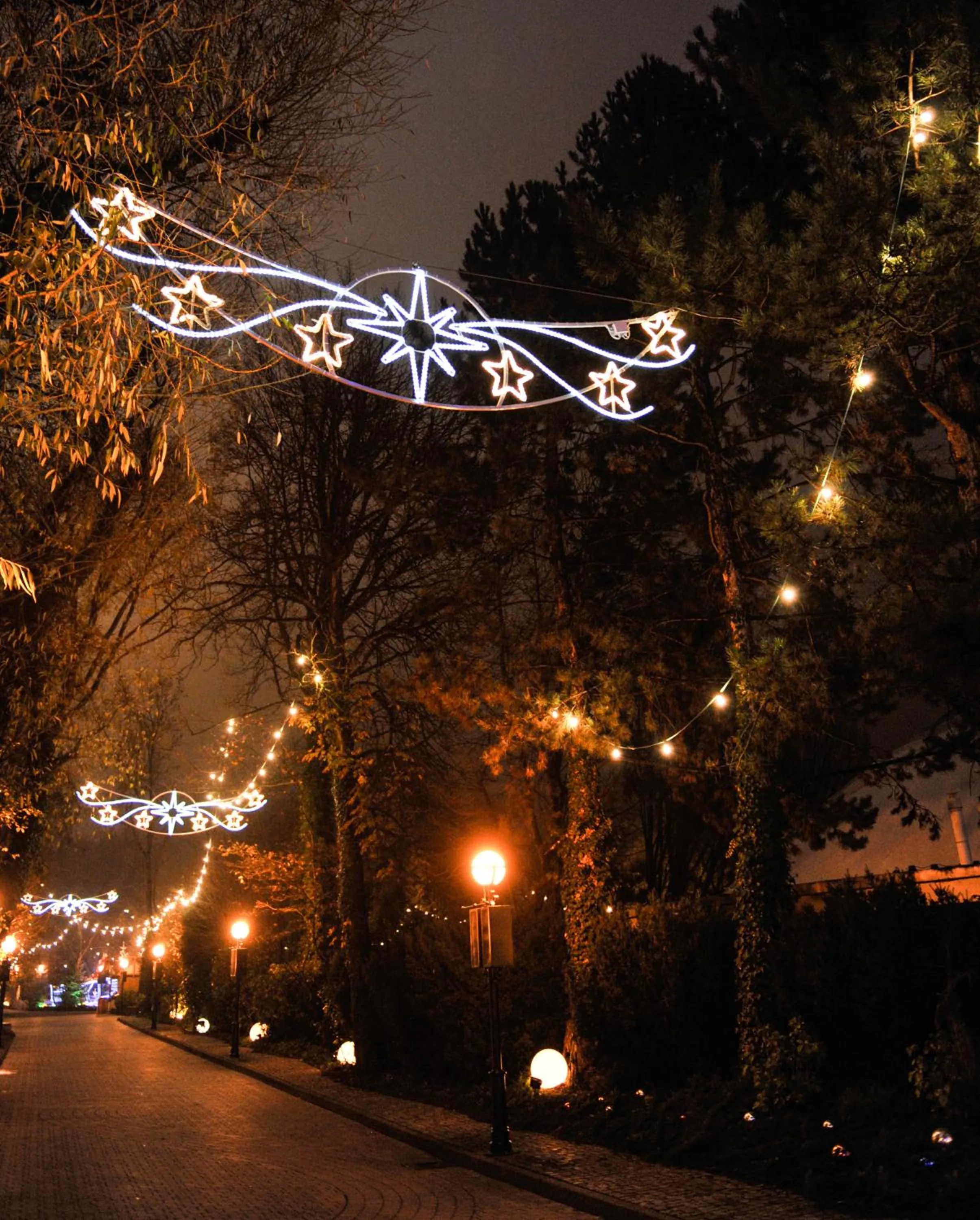 Activities in 4-Sterne Burghotel Castillo Alcazar, Europa-Park Erlebnis-Resort