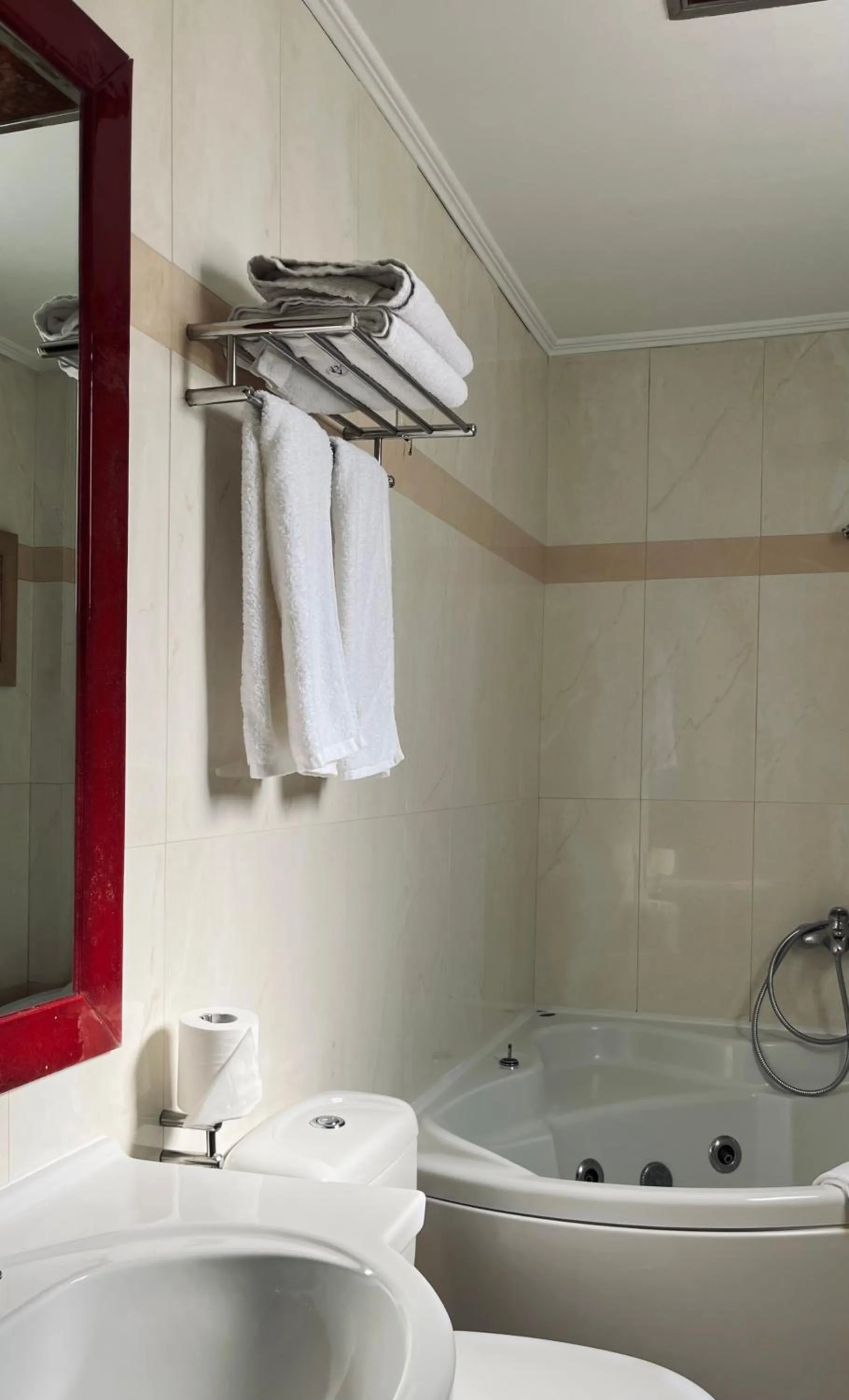 Shower in Alfa Hotel