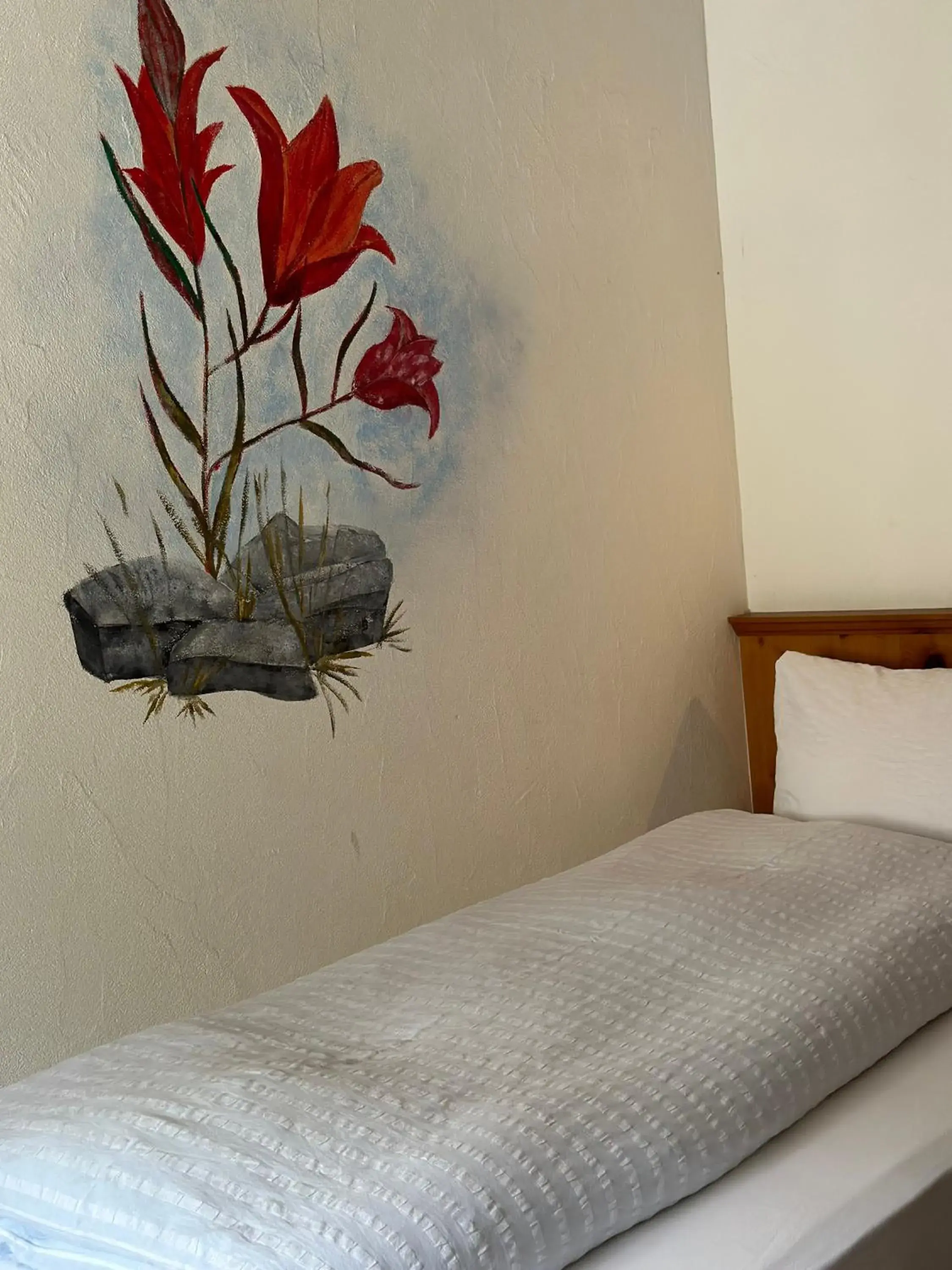 Single Room in Hotel Acla Filli Single Room in Hotel Acla Filli