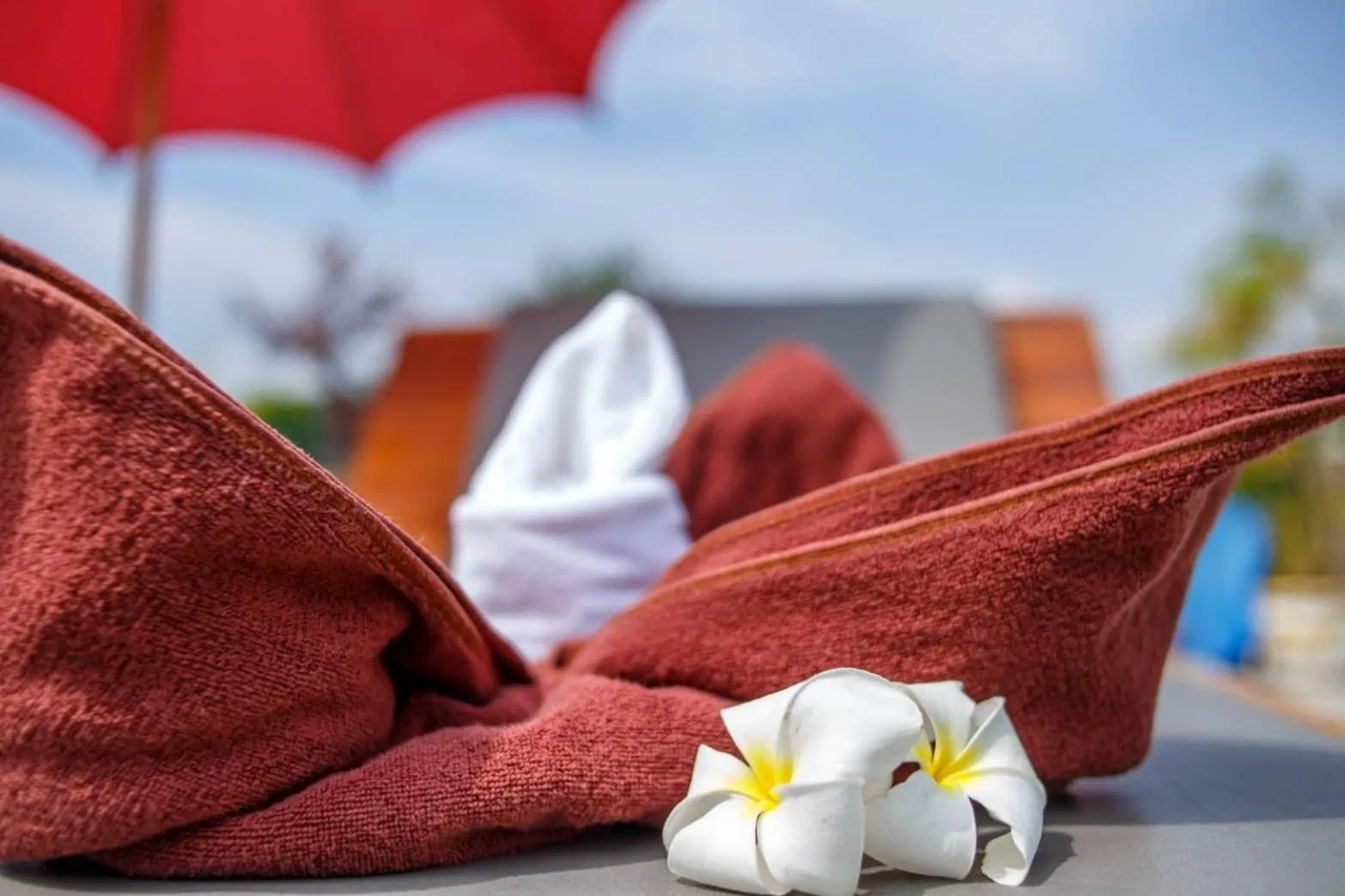 Pool view in Noble Night Guesthouse