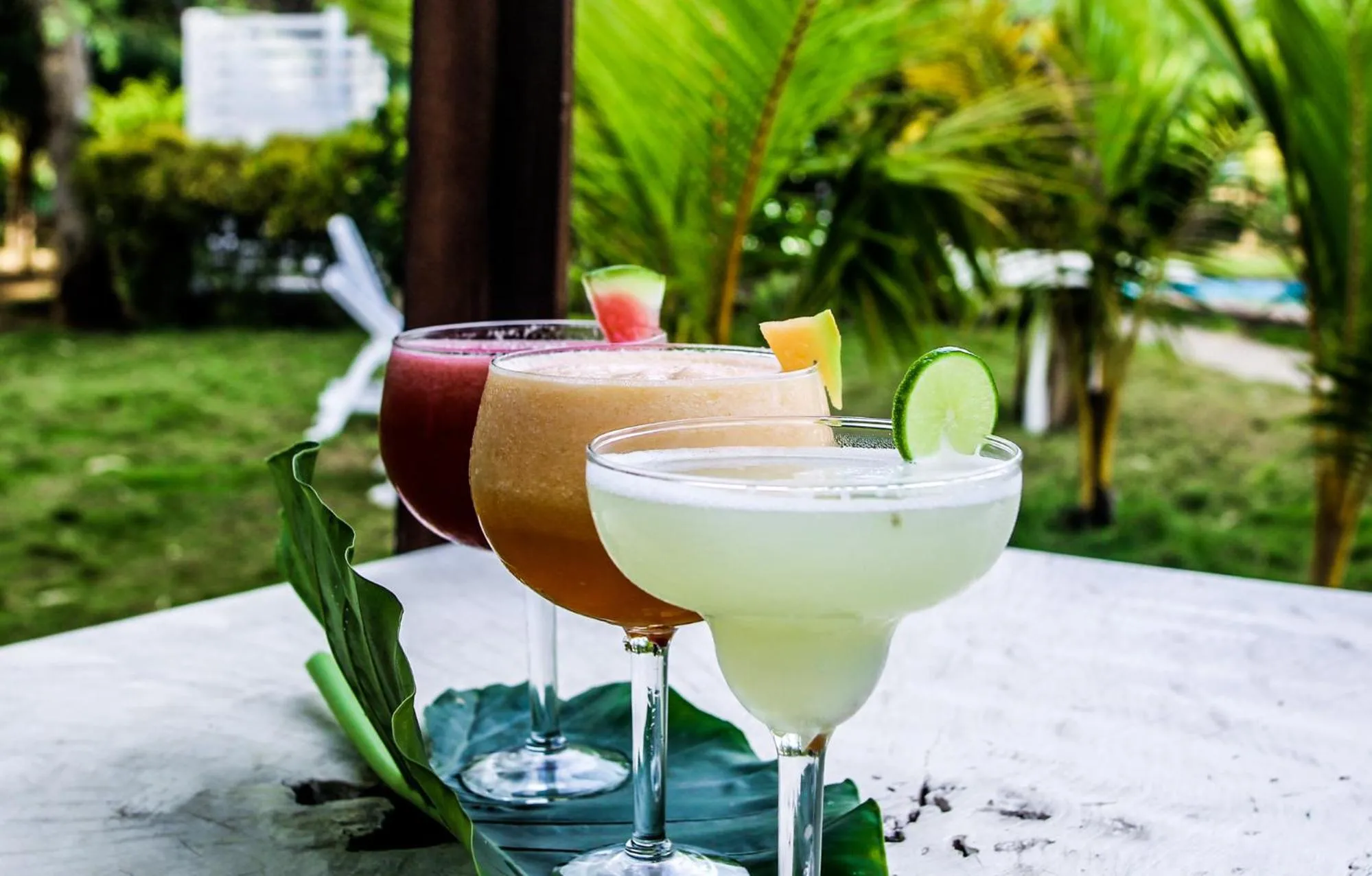 Alcoholic drinks in Las Dunas Surf Resort