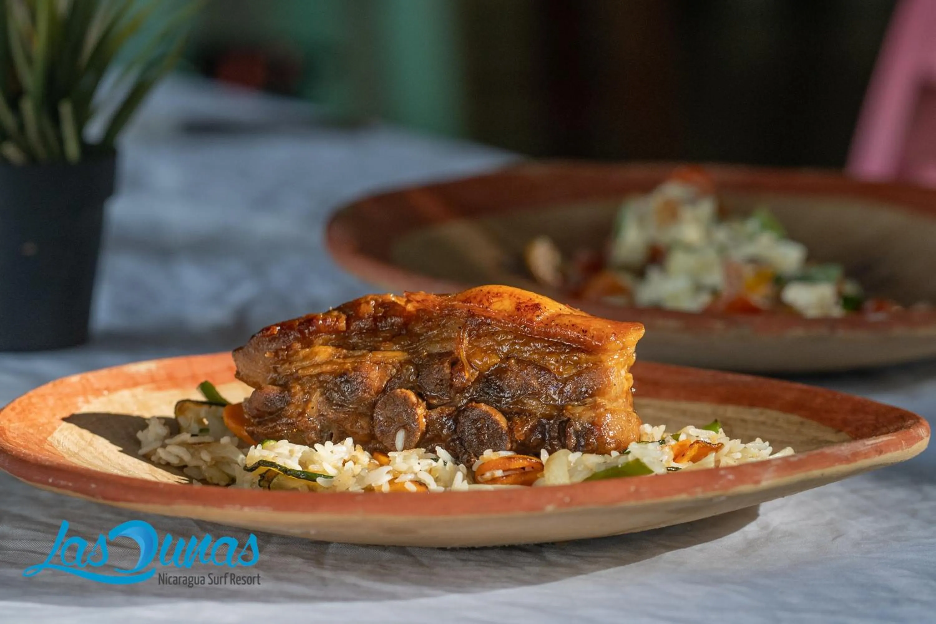 pet friendly in Las Dunas Surf Resort