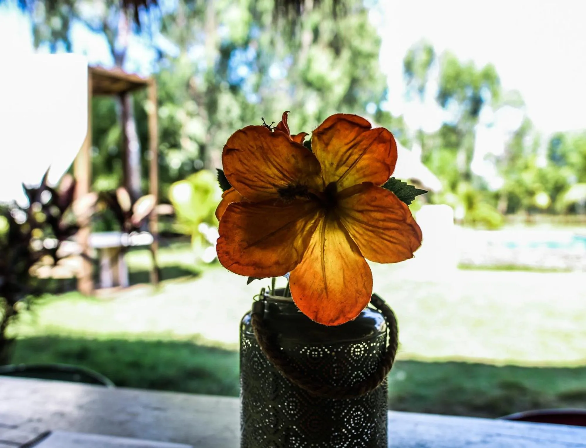 Area and facilities in Las Dunas Surf Resort