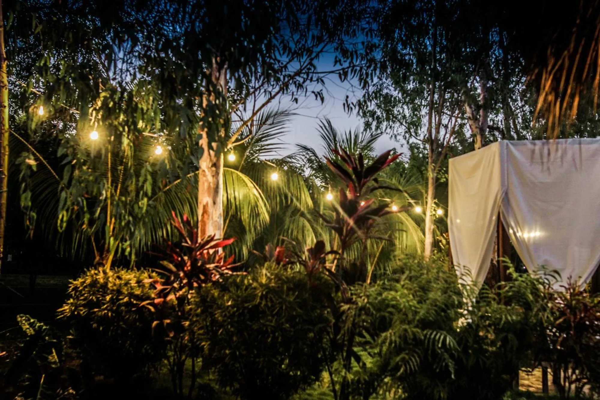 Garden in Las Dunas Surf Resort