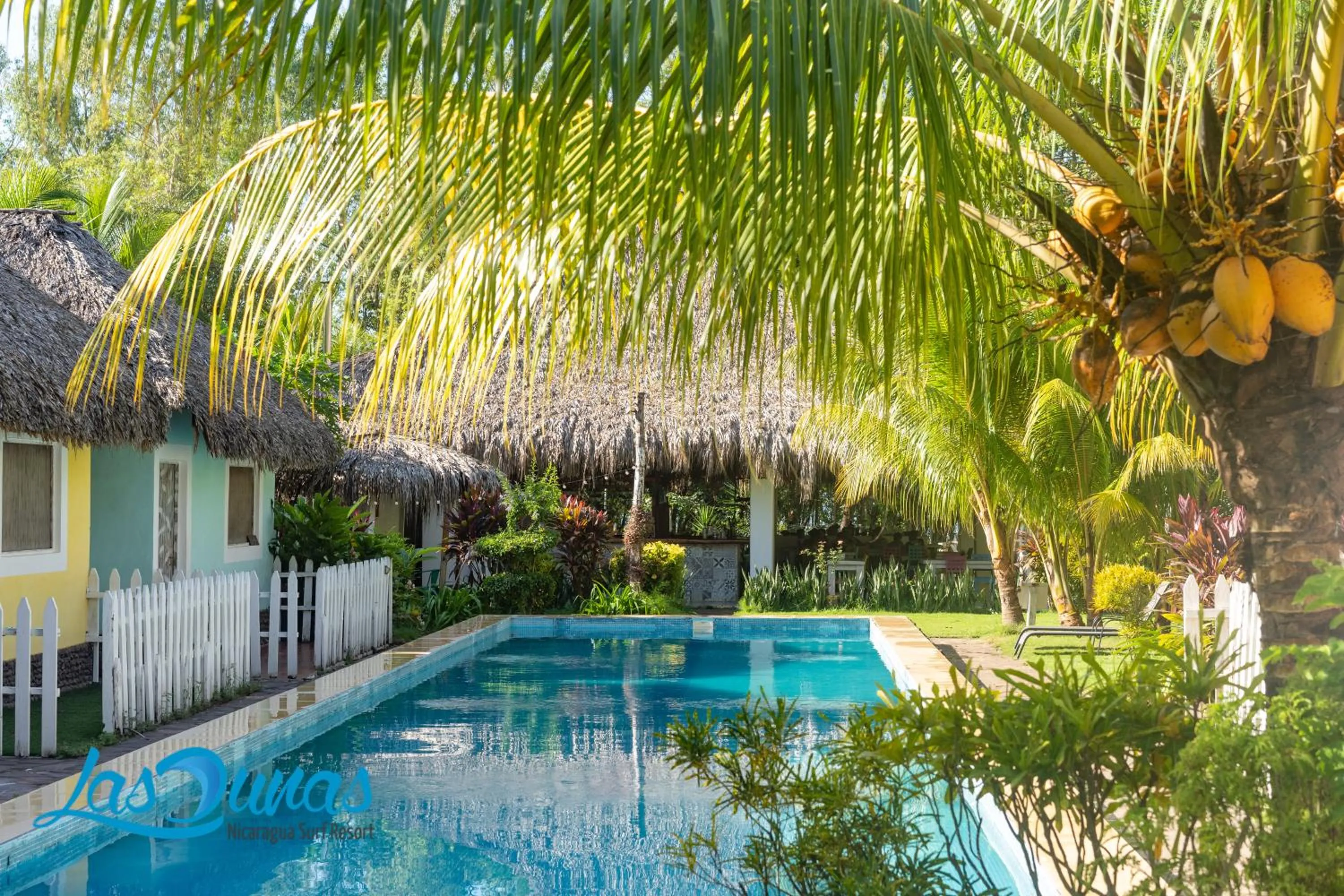 Natural landscape in Las Dunas Surf Resort