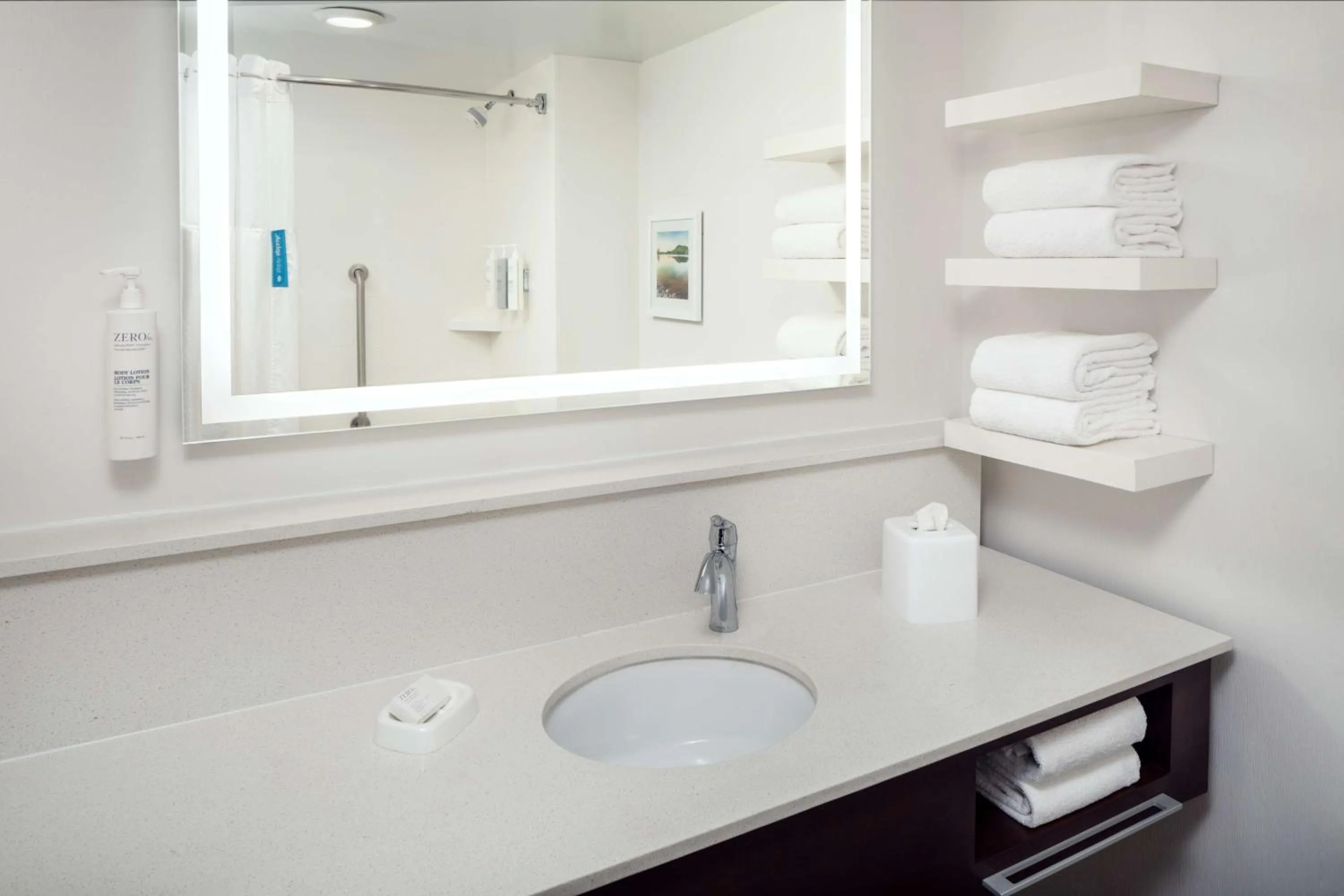 Bathroom in Hampton Inn Atlanta-Northlake