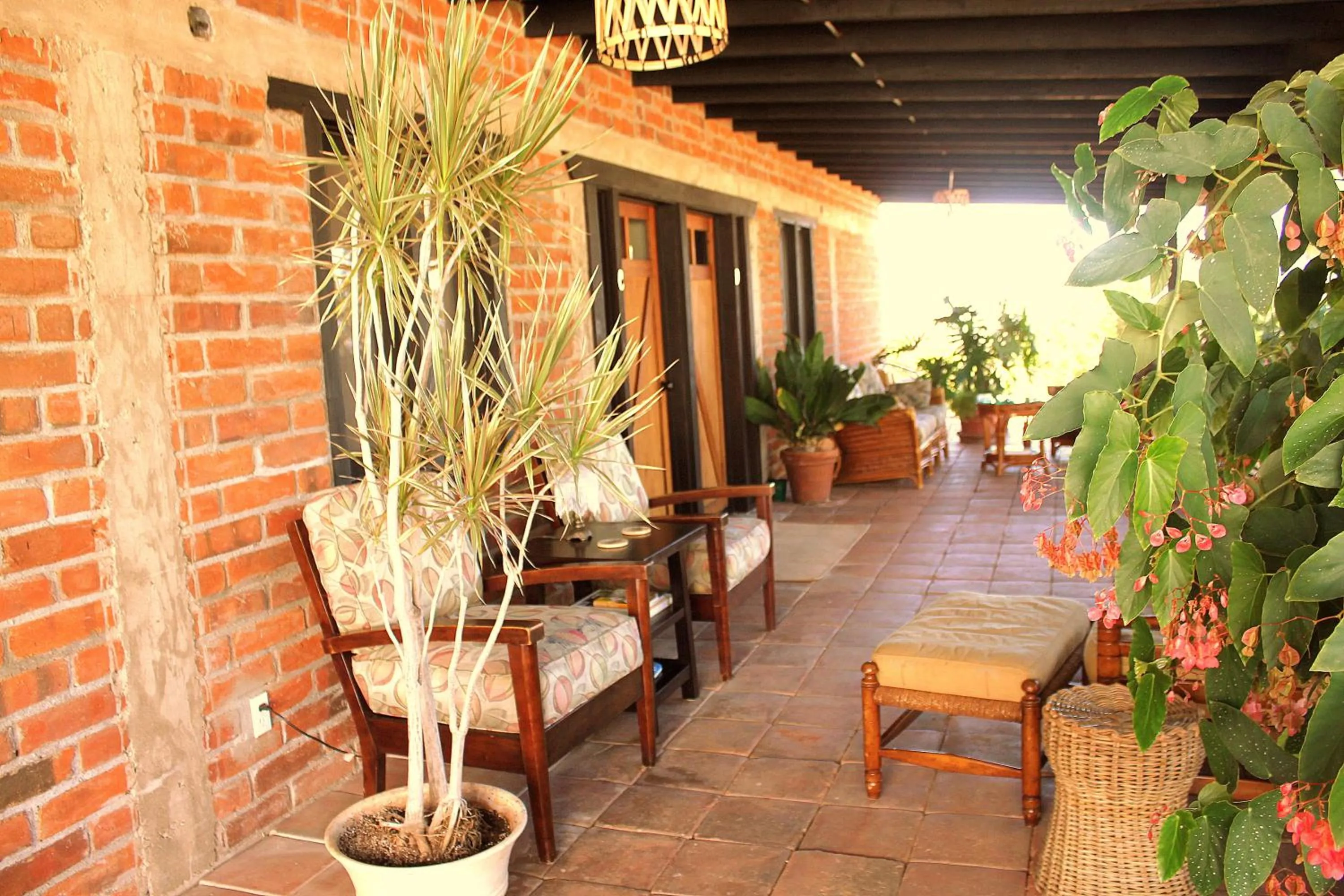 Patio in Las Orquideas