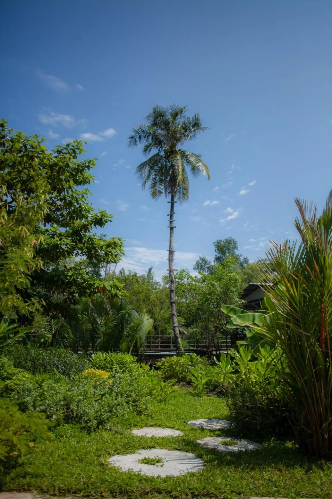 Natural landscape in Trat 101 Hotel - SHA Certified