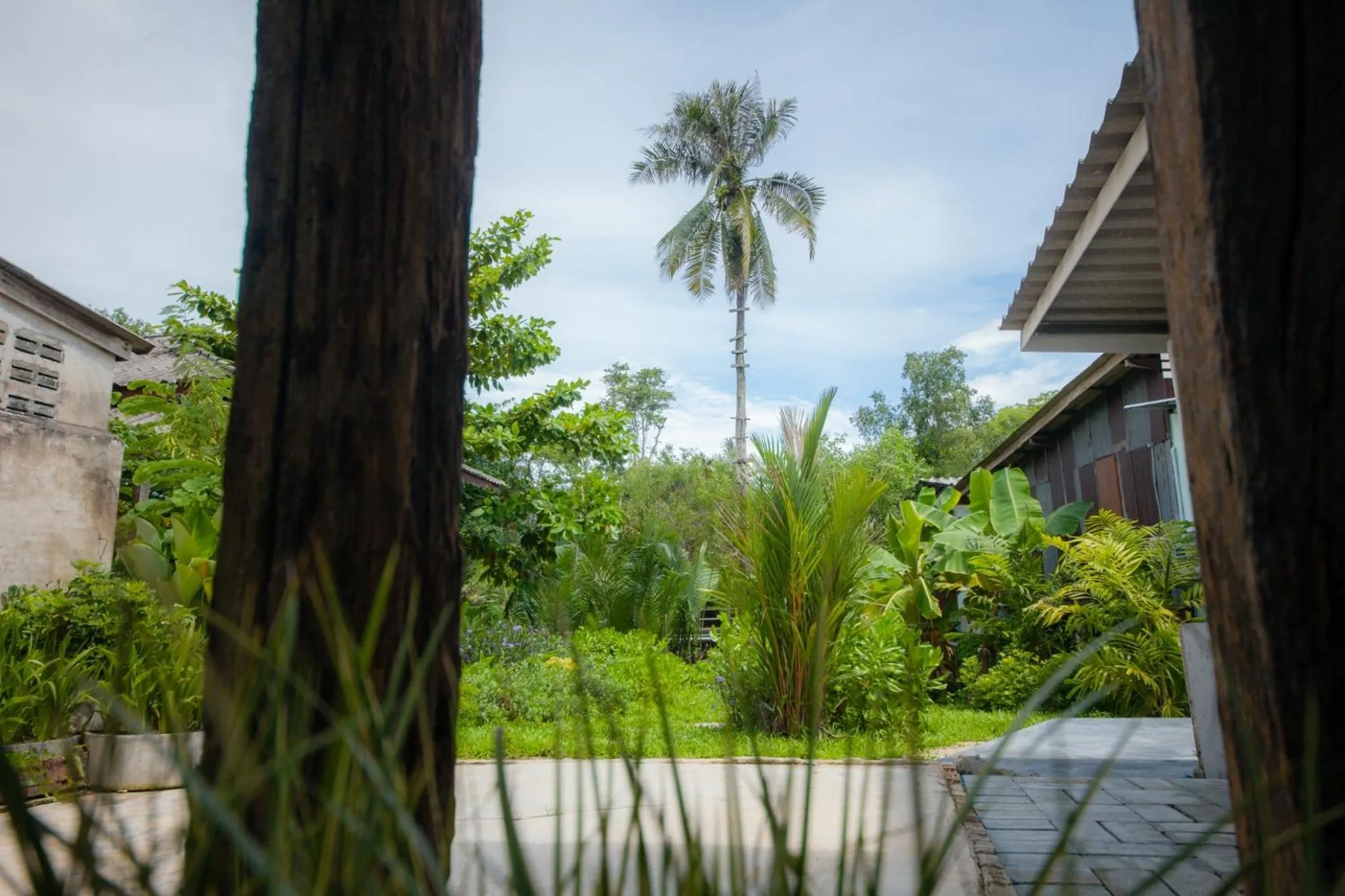 Natural landscape in Trat 101 Hotel - SHA Certified