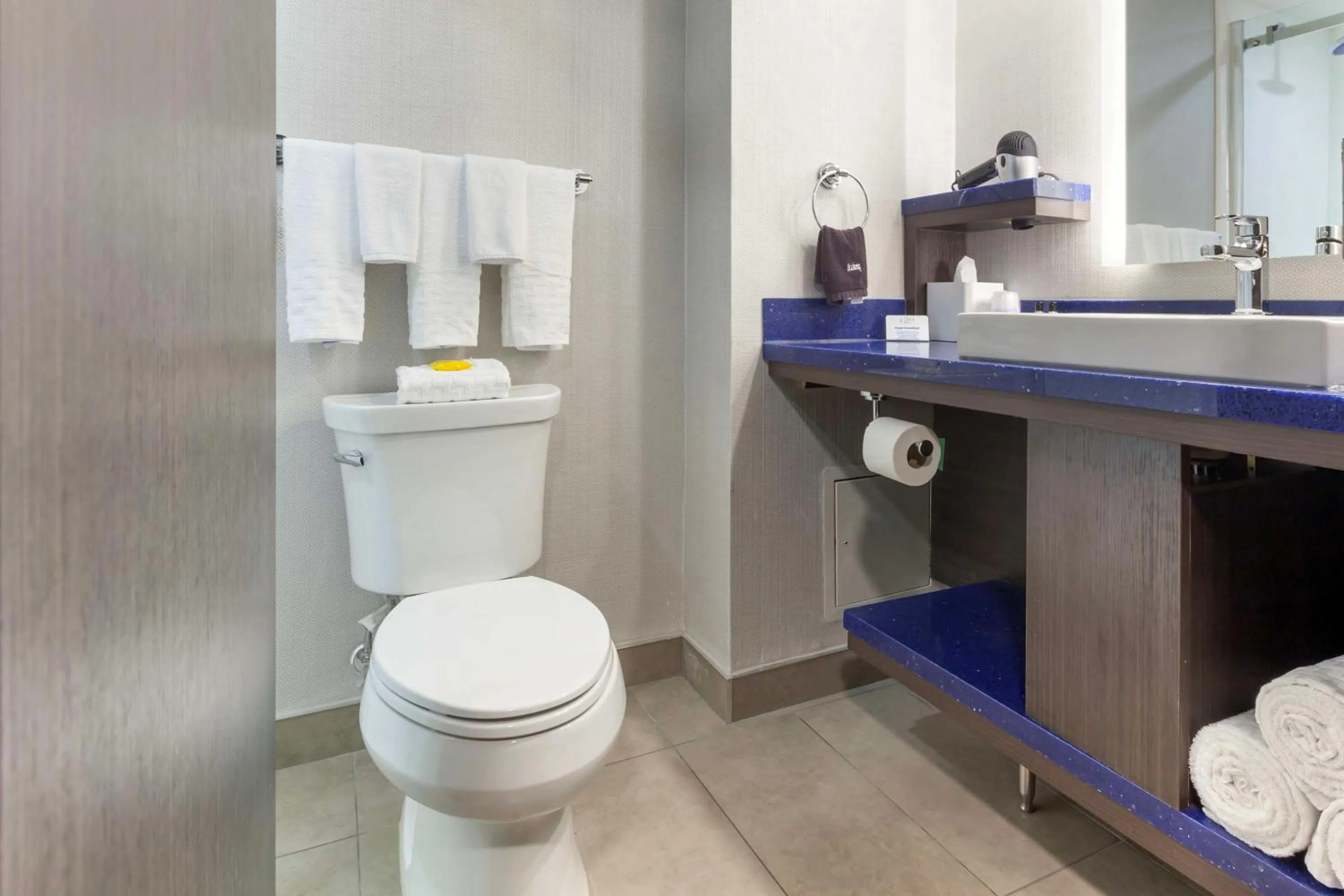 Bathroom in GLō Best Western Mississauga Corporate Centre