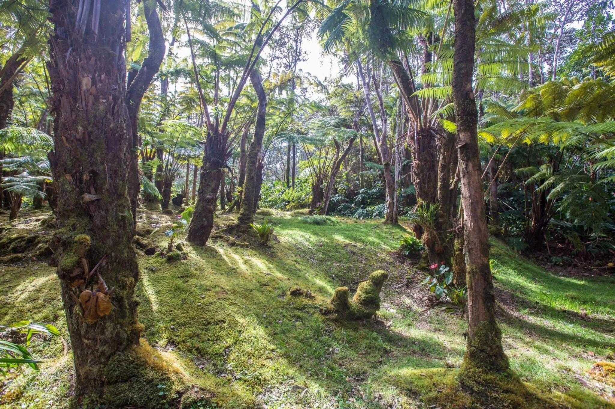 Hale Mauna Loa Upper Level with shared Hot Tub