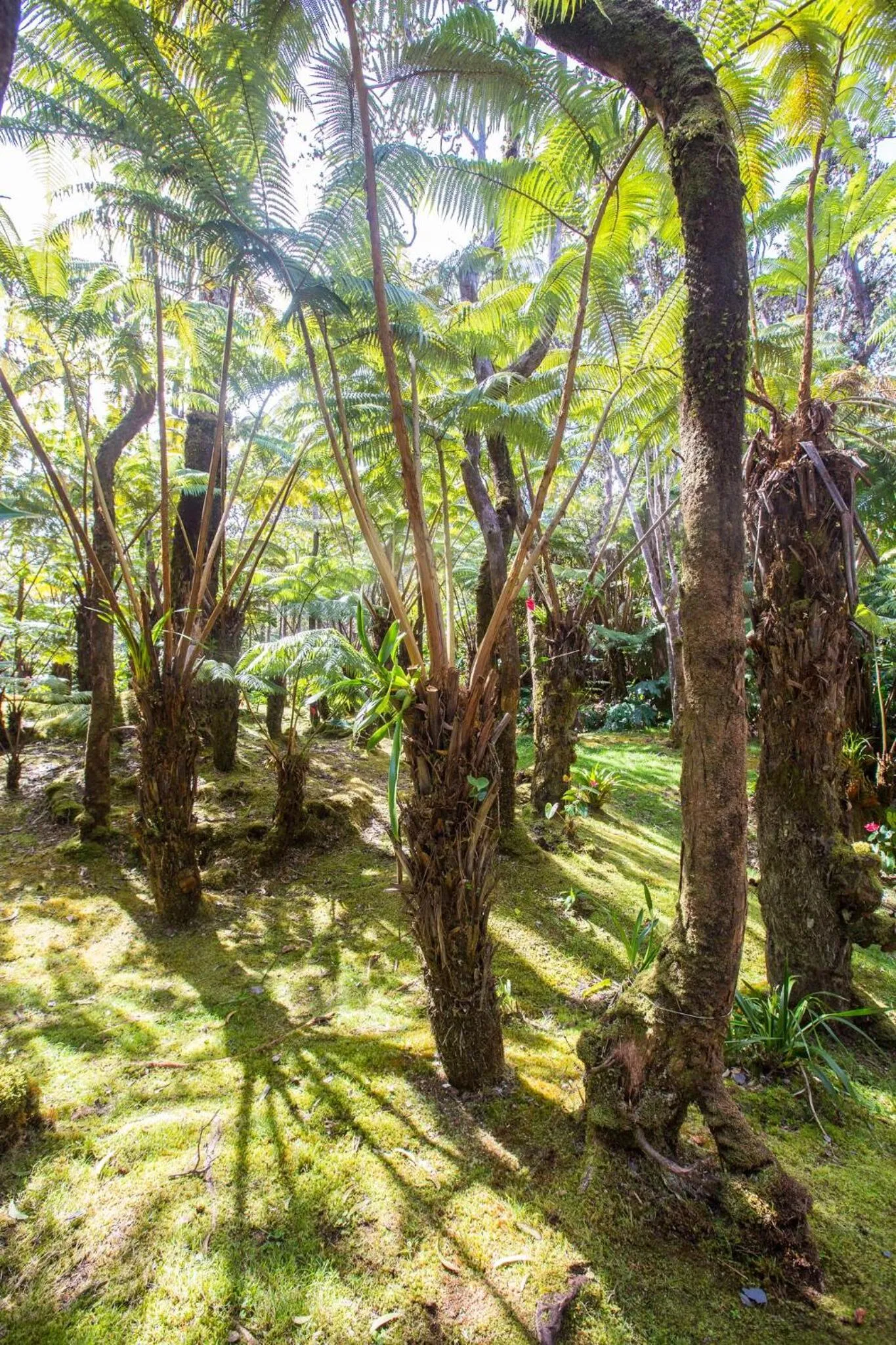 Property building in Hale Mauna Loa Upper Level with shared Hot Tub