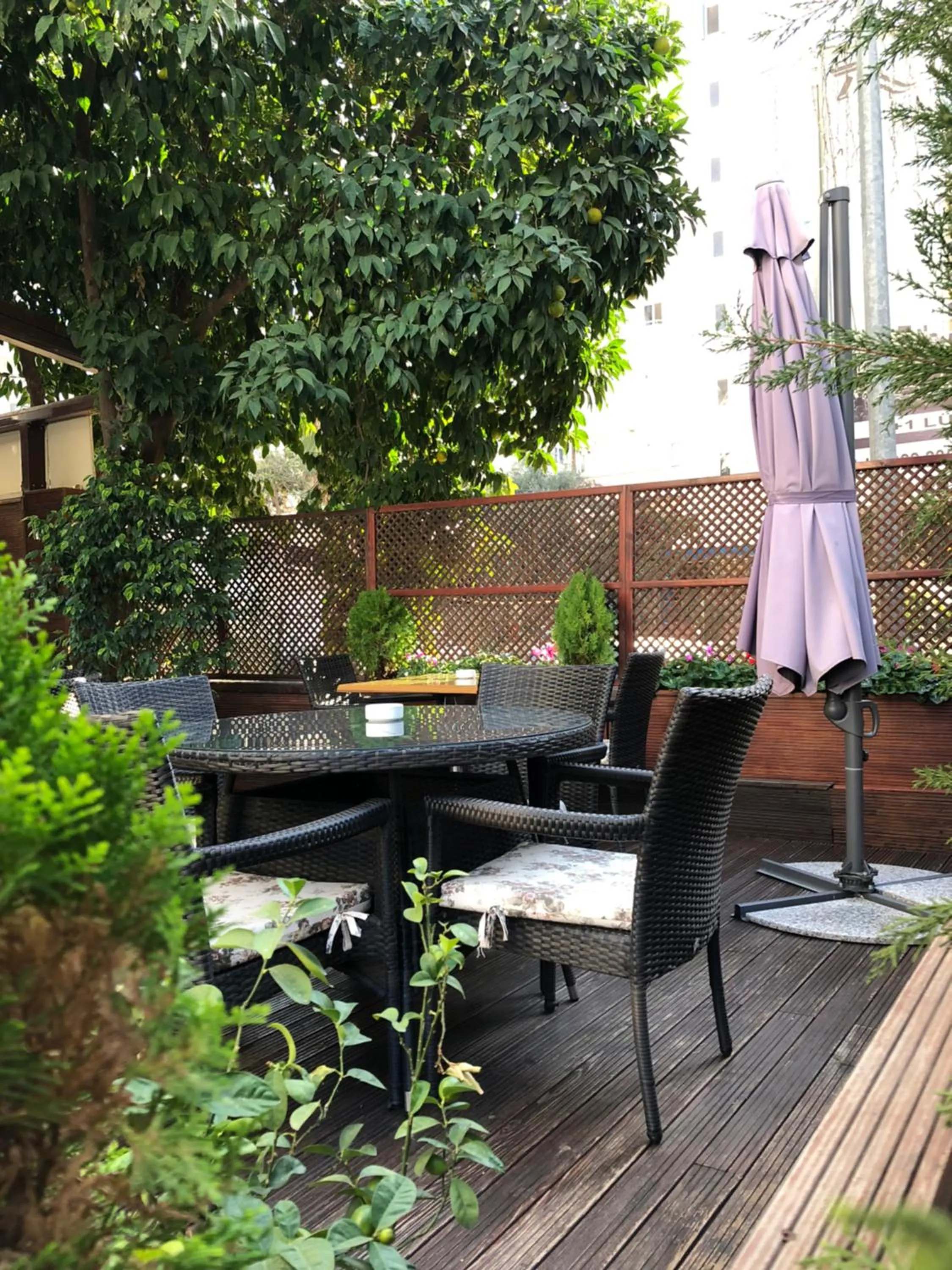 Garden in Riva Reşatbey Luxury Hotel