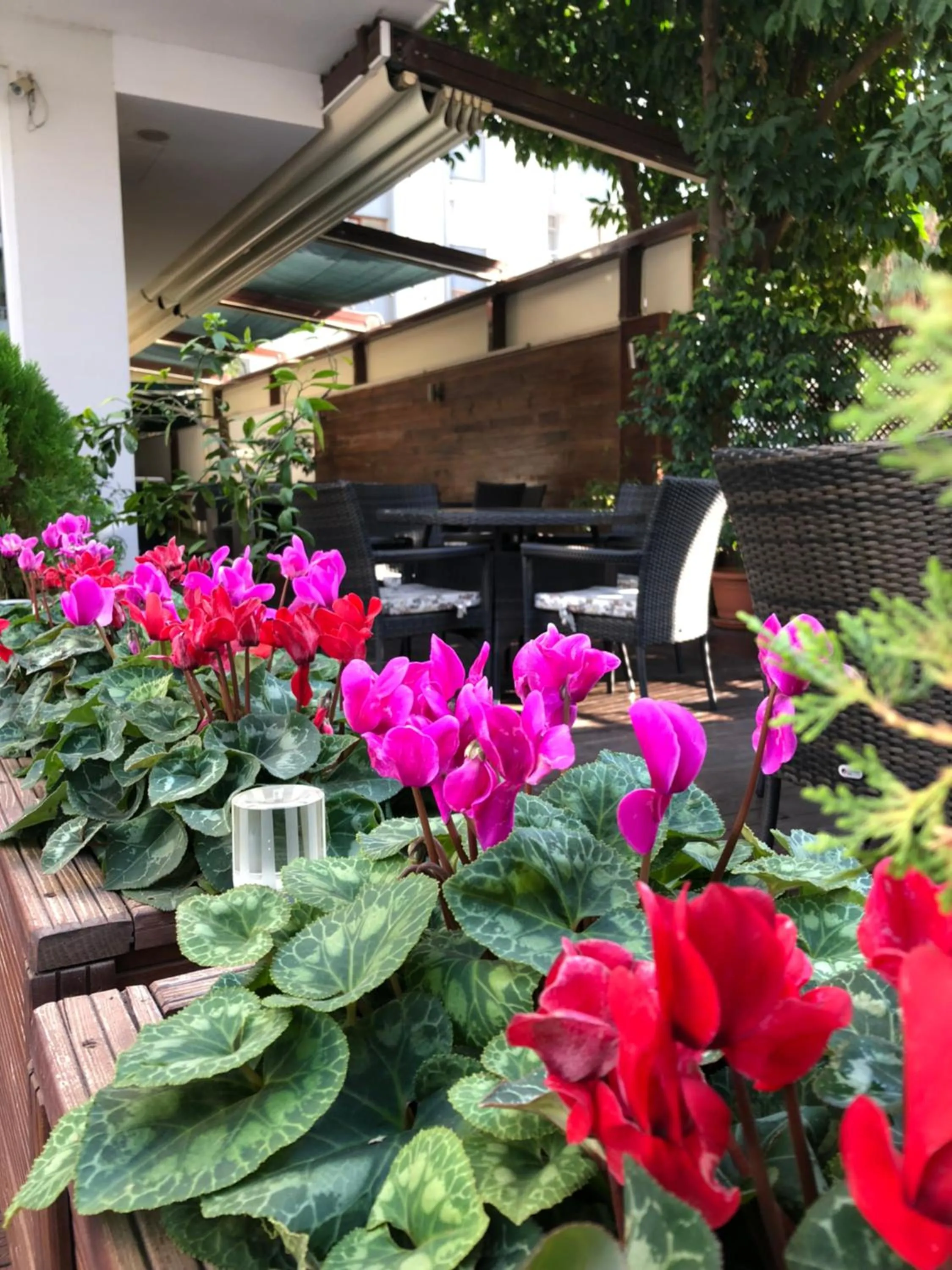 Garden in Riva Reşatbey Luxury Hotel