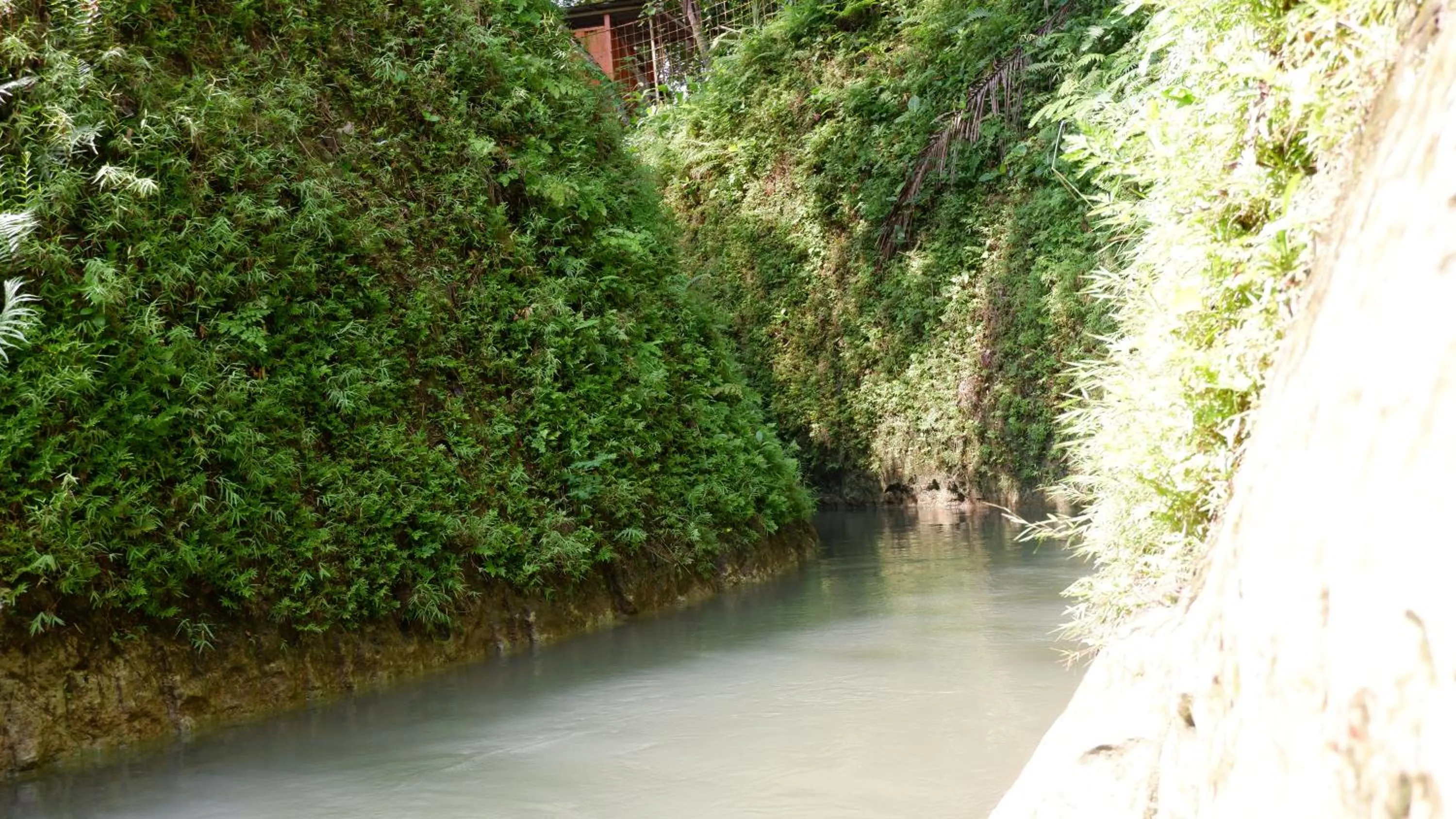 River view in Hau Eco Lodges Citumang Pangandaran
