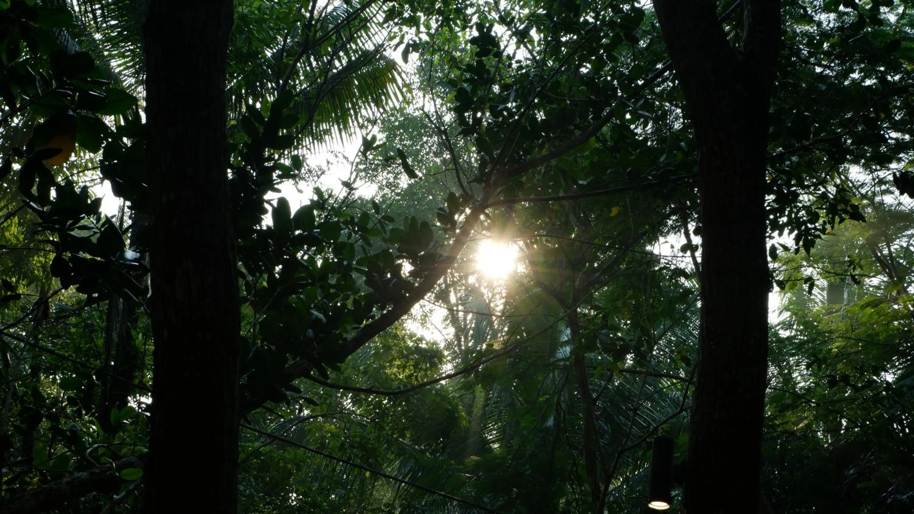 Property building in Hau Eco Lodges Citumang Pangandaran