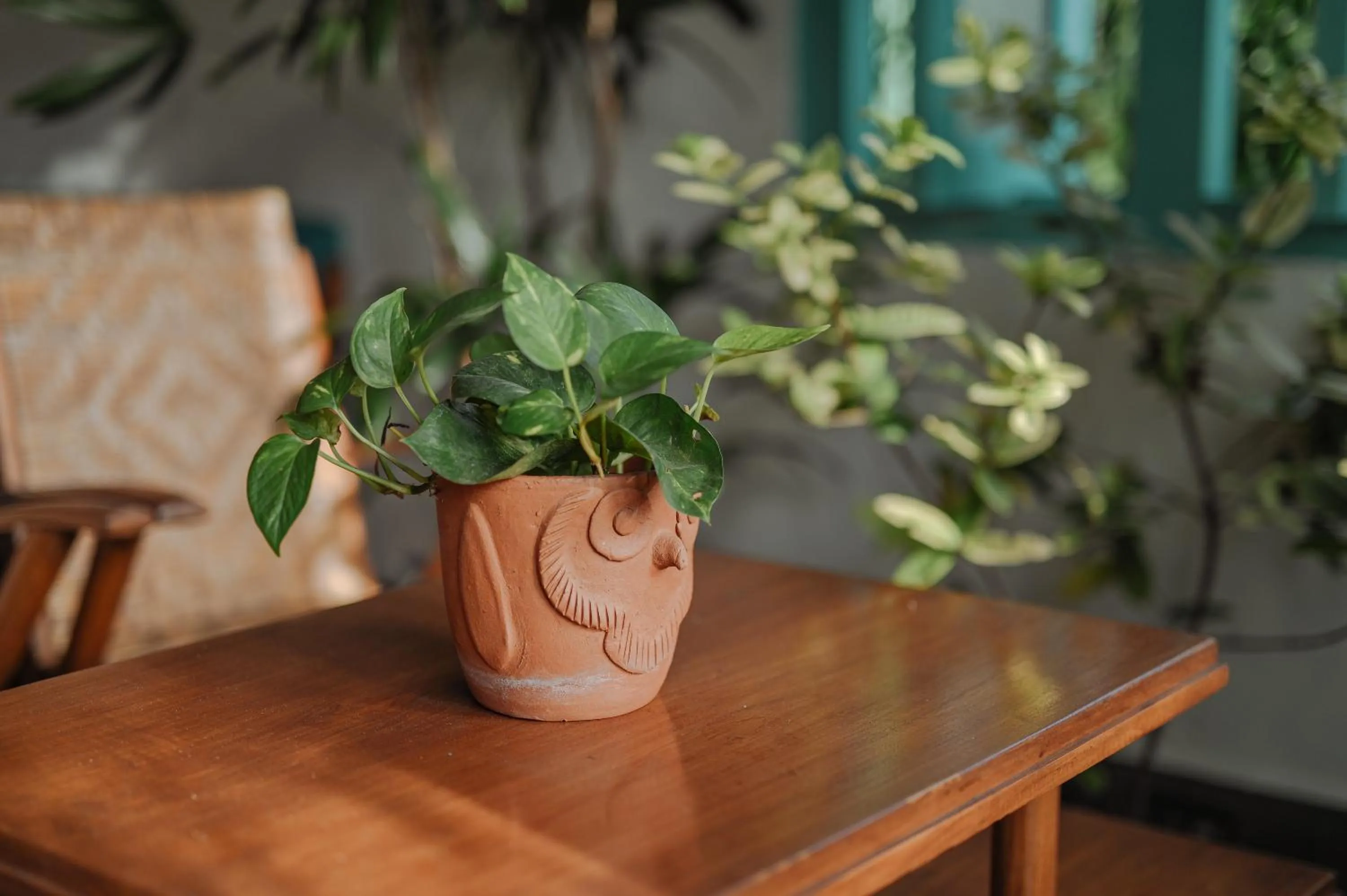 Lobby or reception in Snooze