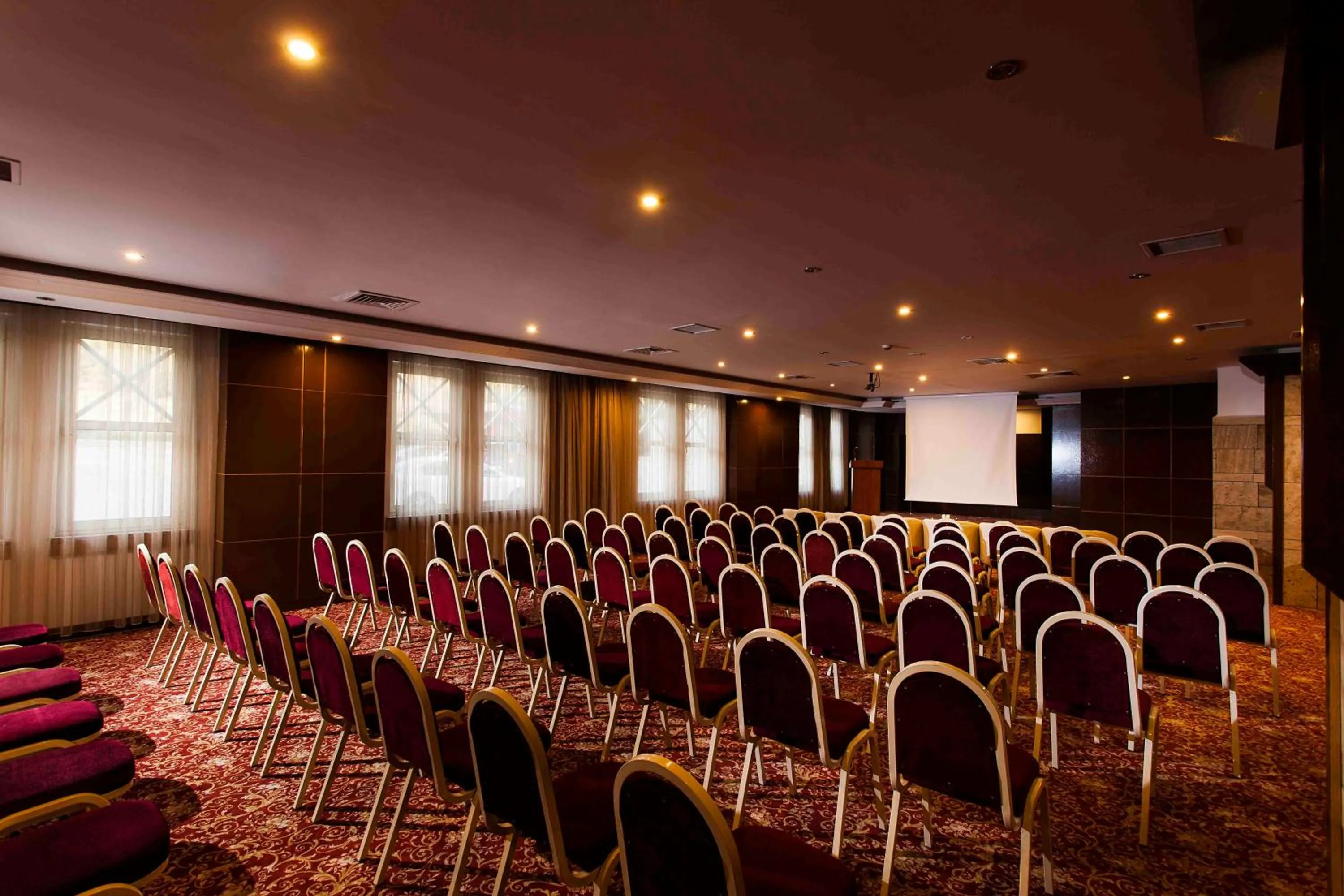 Business facilities in Polat Thermal Hotel