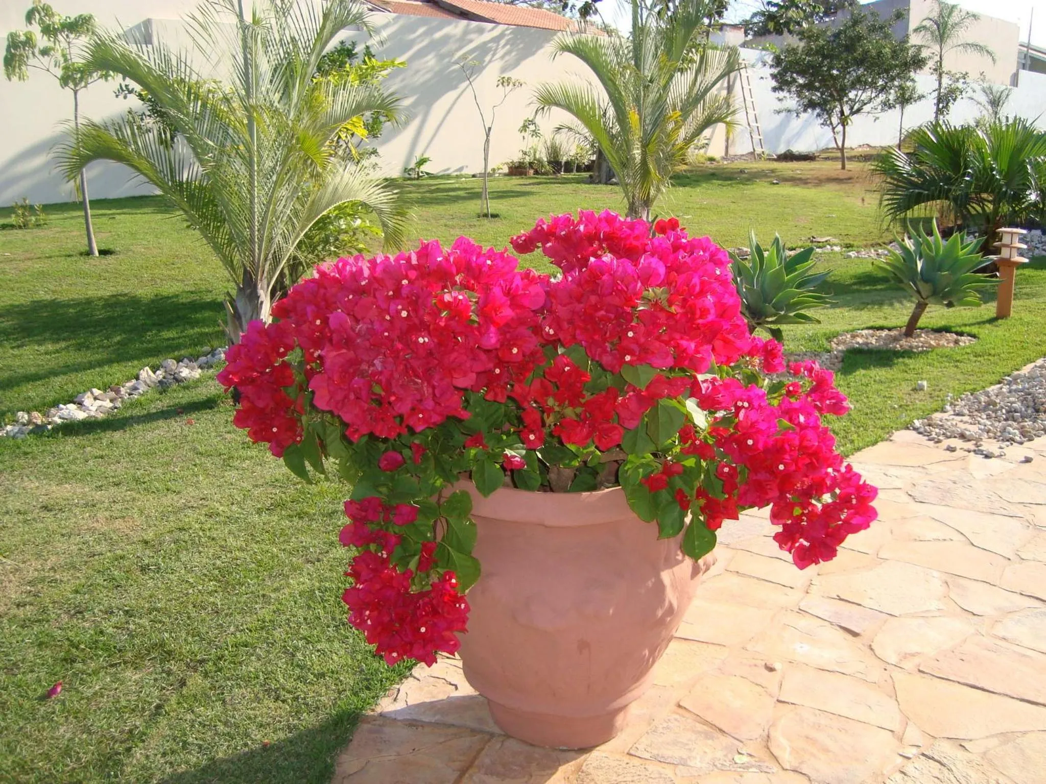 Day in Pousada Surucuá - Bonito MS