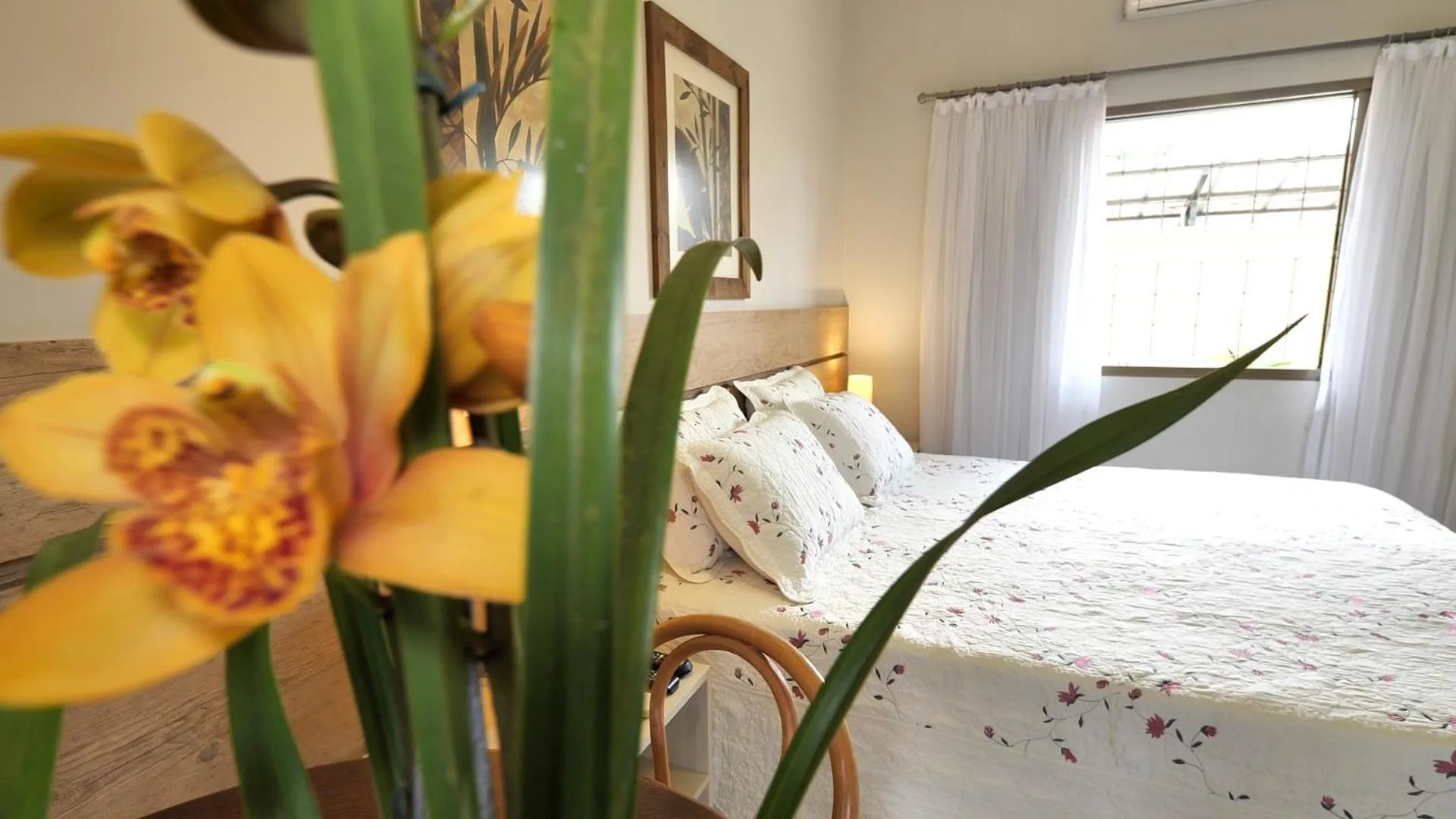 Photo of the whole room, Bed in Pousada Surucuá - Bonito MS