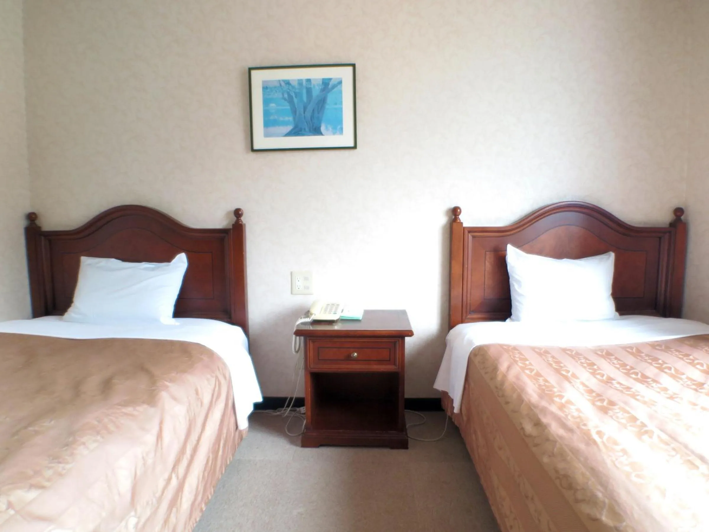 Photo of the whole room, Bed in Aiwa no Mori Hotel