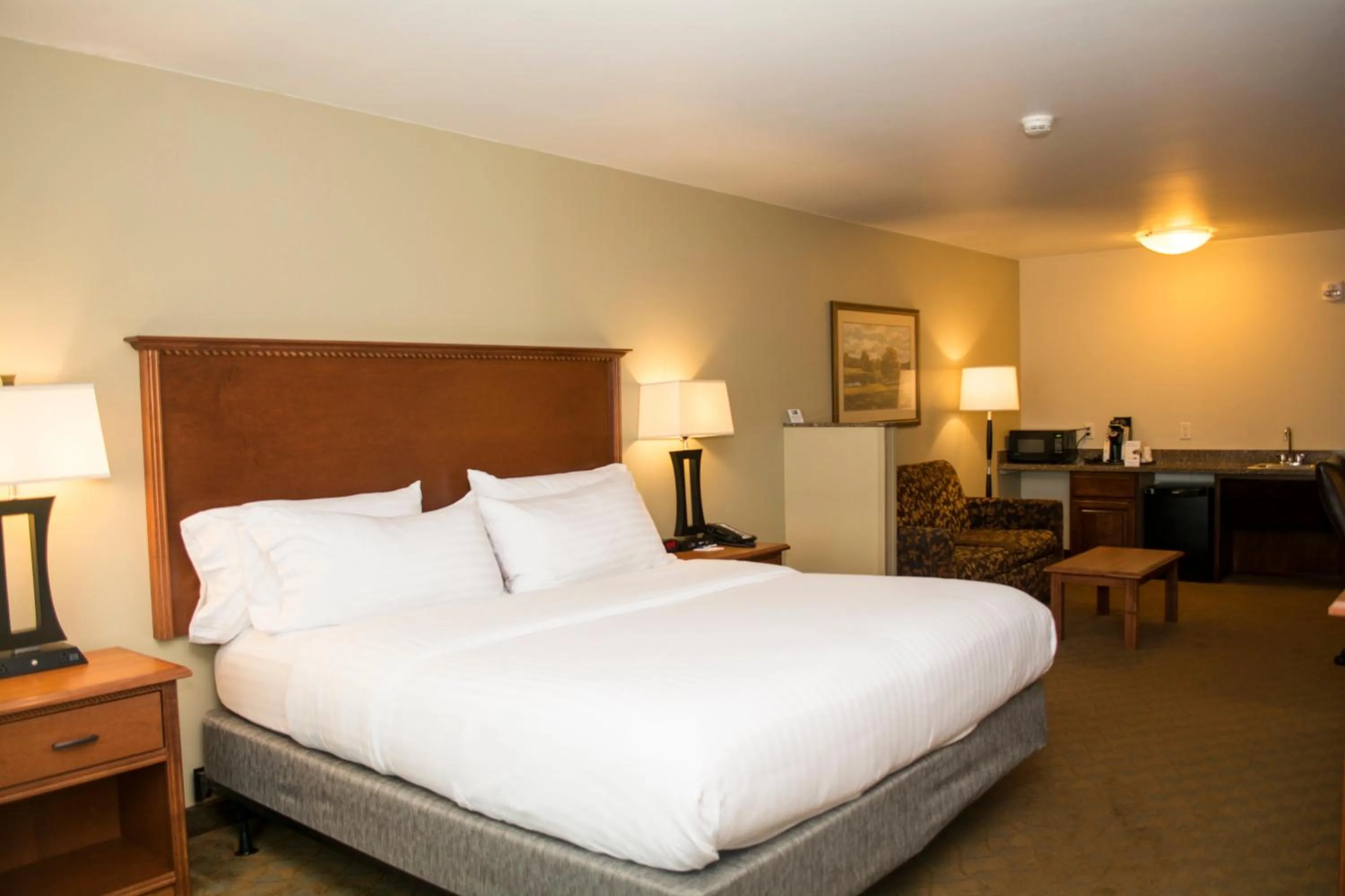 Photo of the whole room, Bed in Holiday Inn Express & Suites - Mason City by IHG