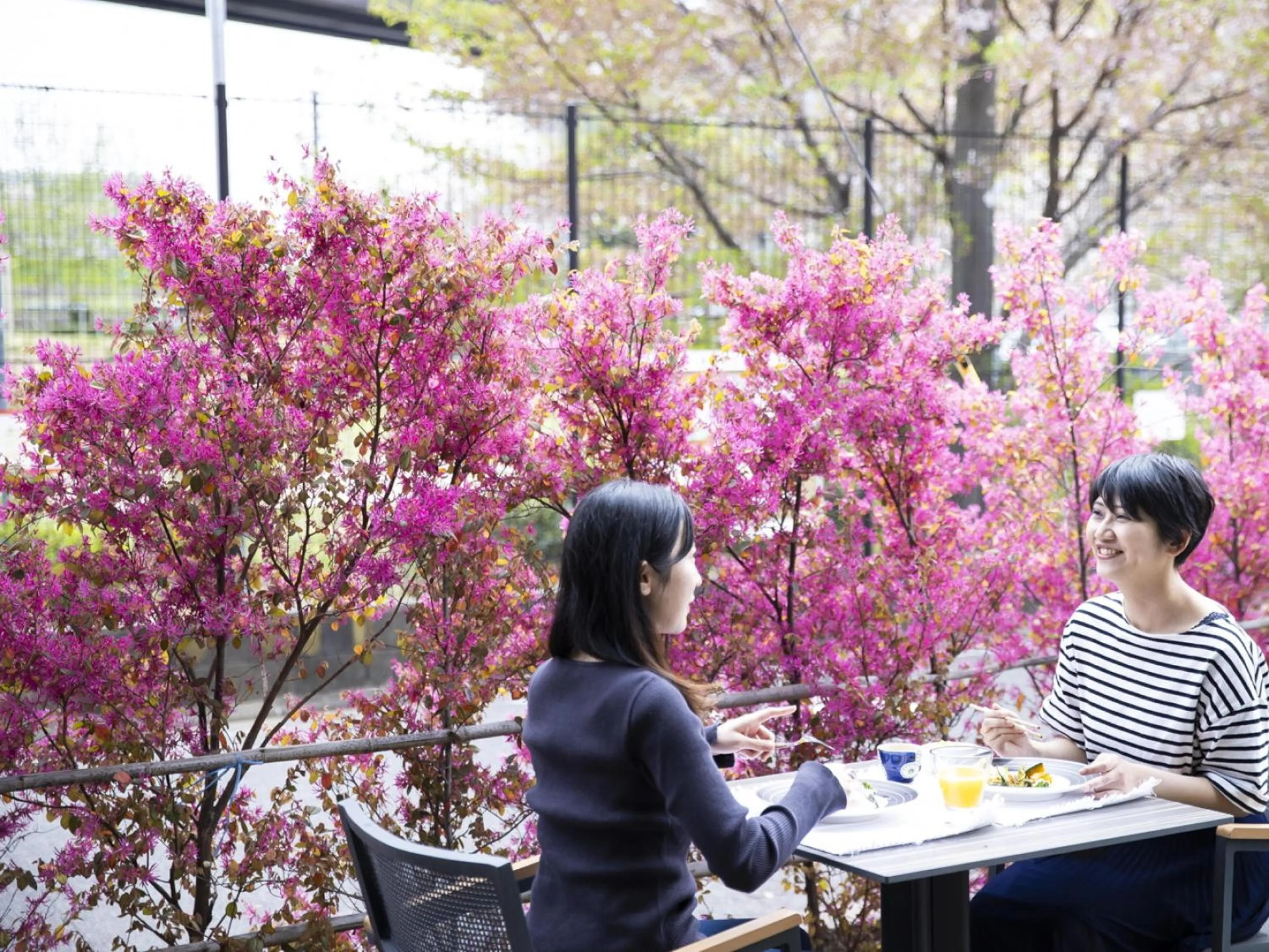Breakfast in Ariston Hotel Kyoto Jujo