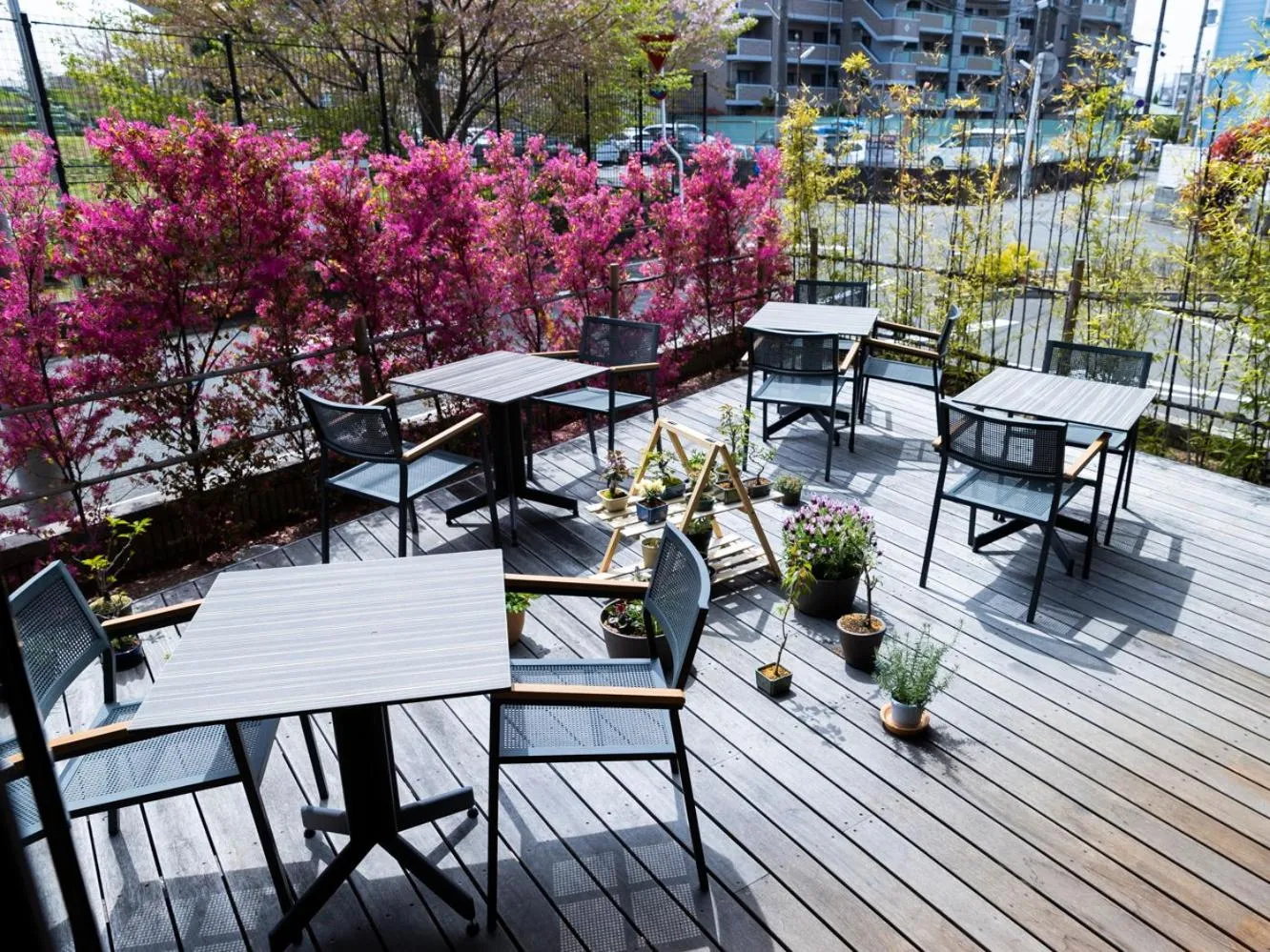 Restaurant/places to eat in Ariston Hotel Kyoto Jujo