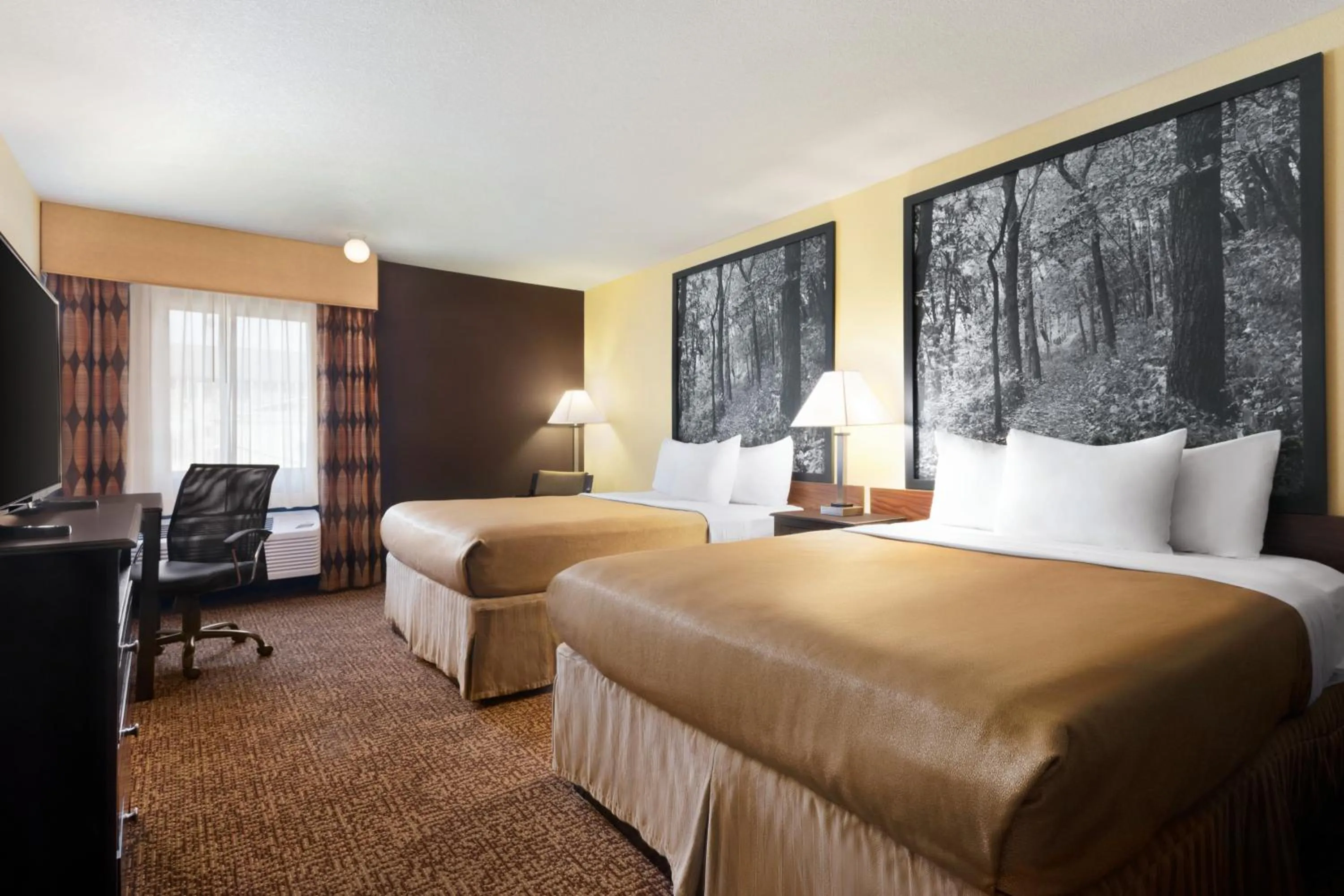 Bed in Super 8 by Wyndham Des Moines