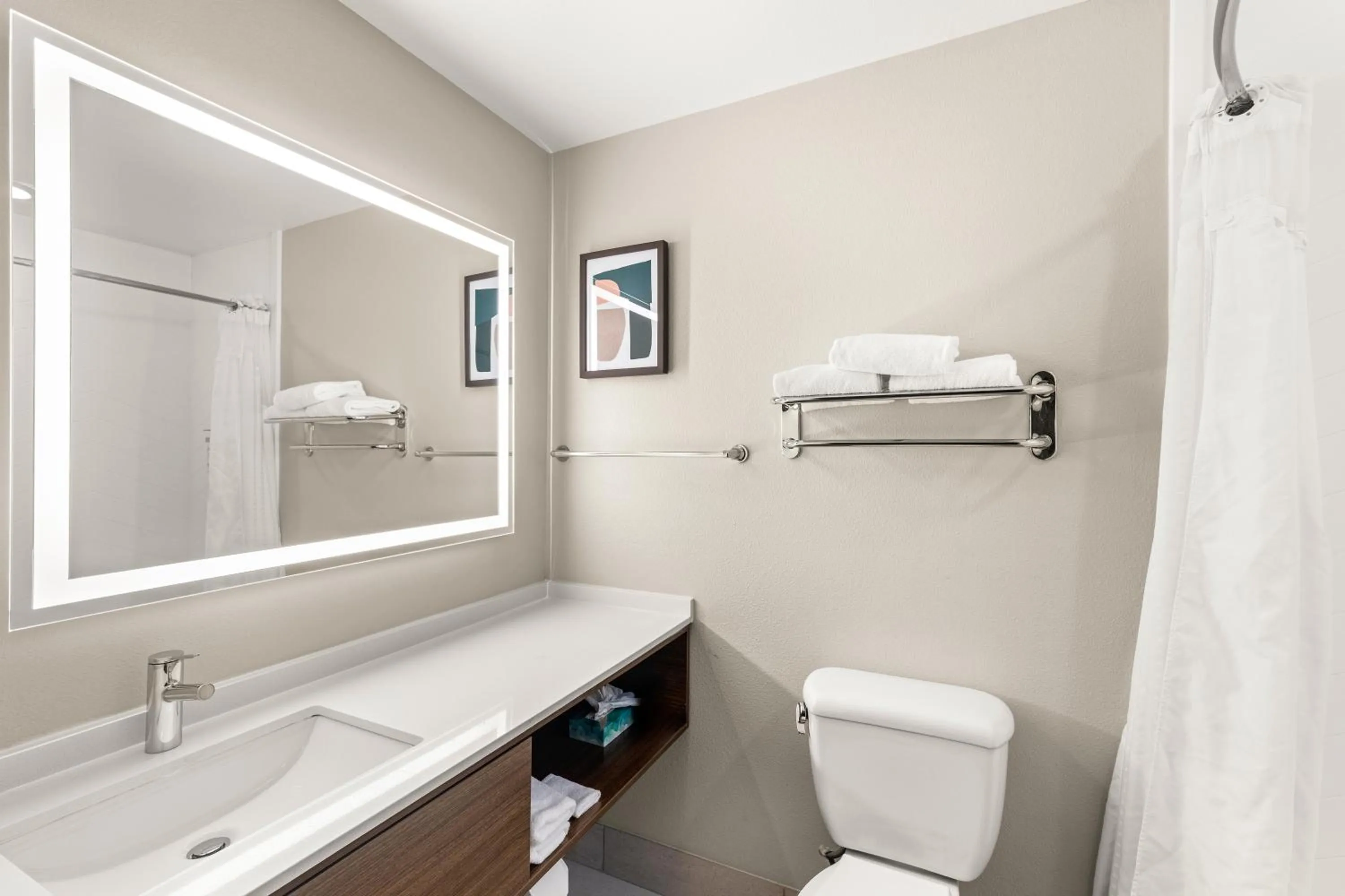 Bathroom in Holiday Inn Austin North by IHG