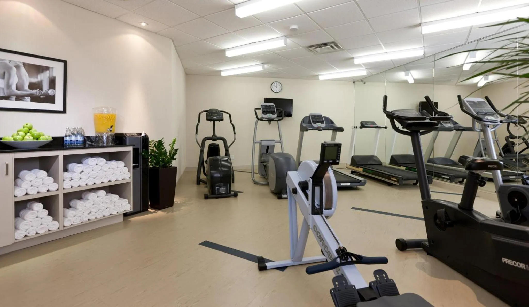 Fitness centre/facilities in Holiday Inn Laval Montreal by IHG