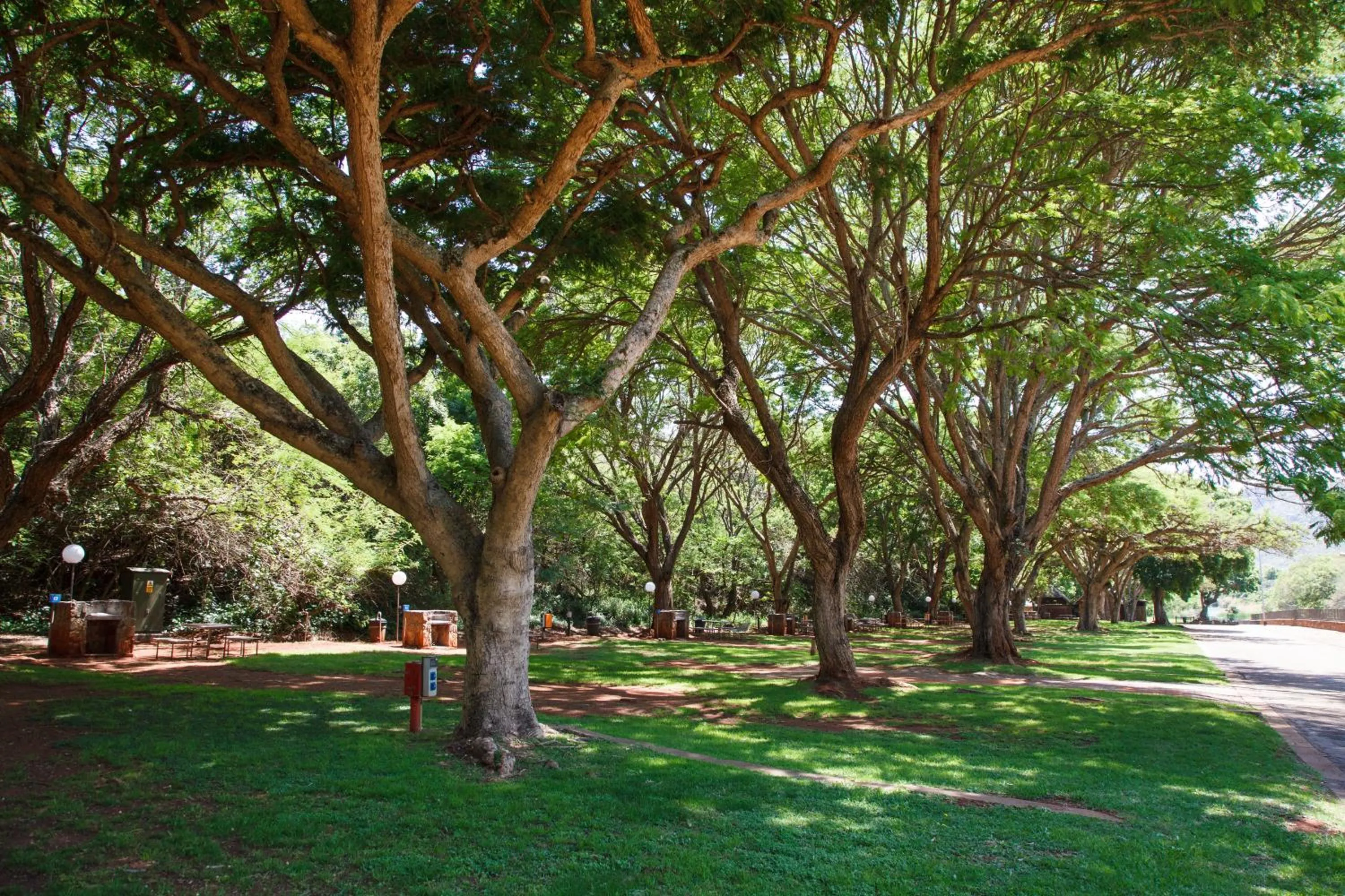 Garden in Blyde Canyon, A Forever Resort