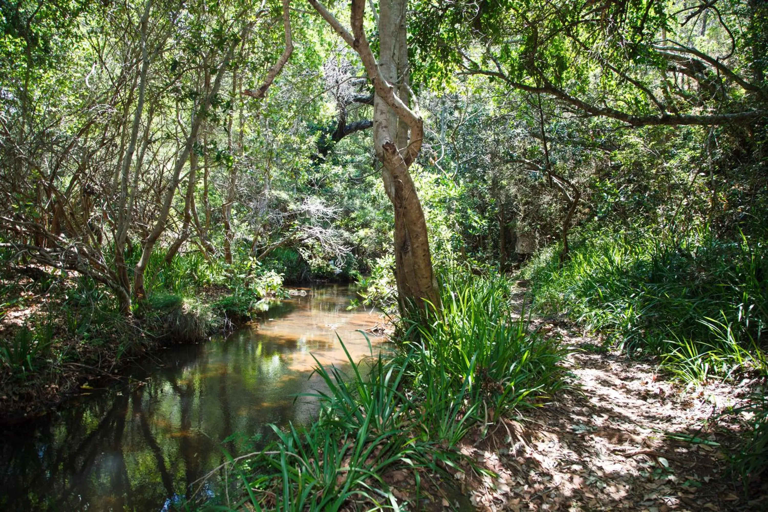 Hiking in Blyde Canyon, A Forever Resort