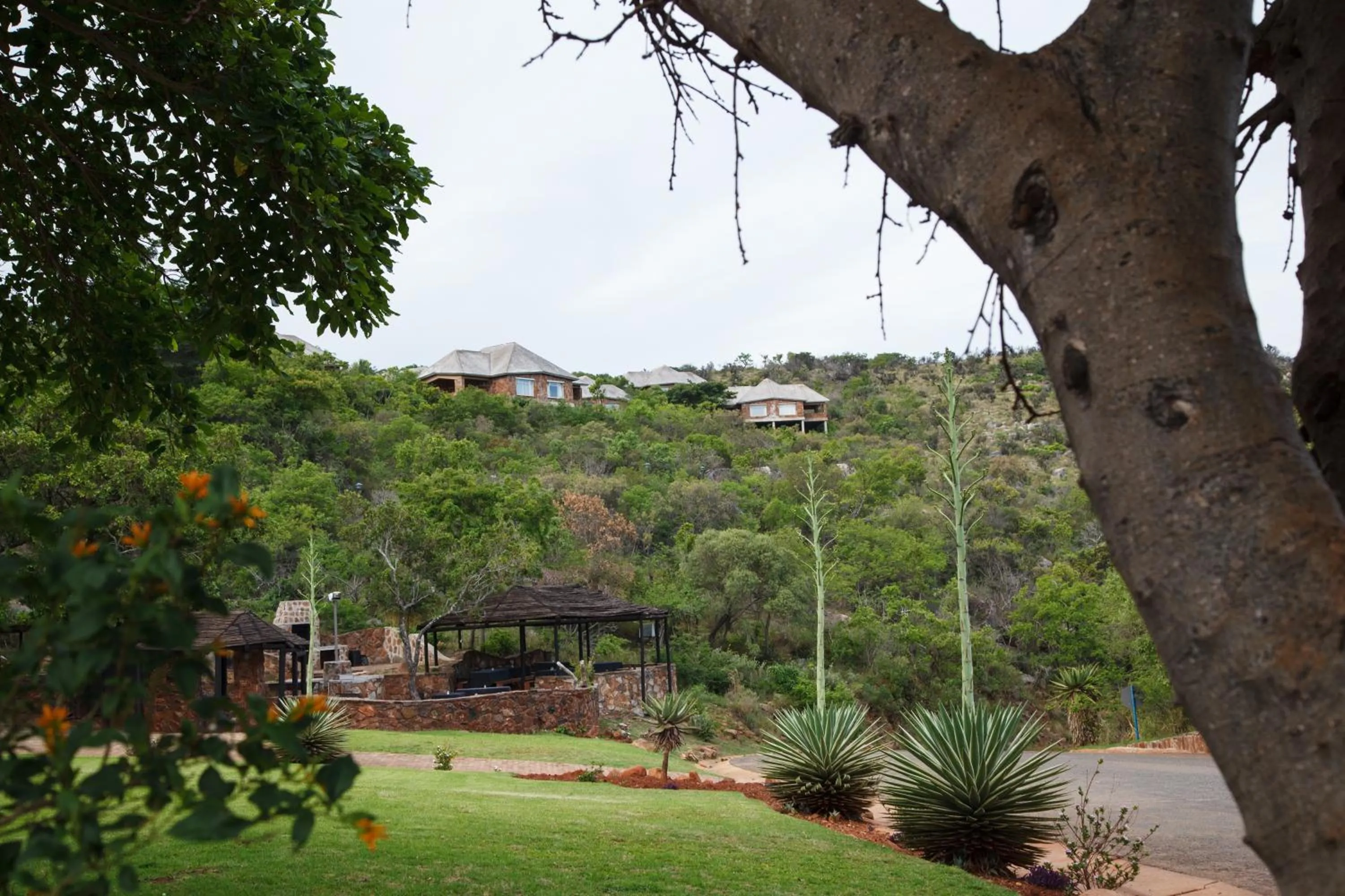 Garden view in Blyde Canyon, A Forever Resort