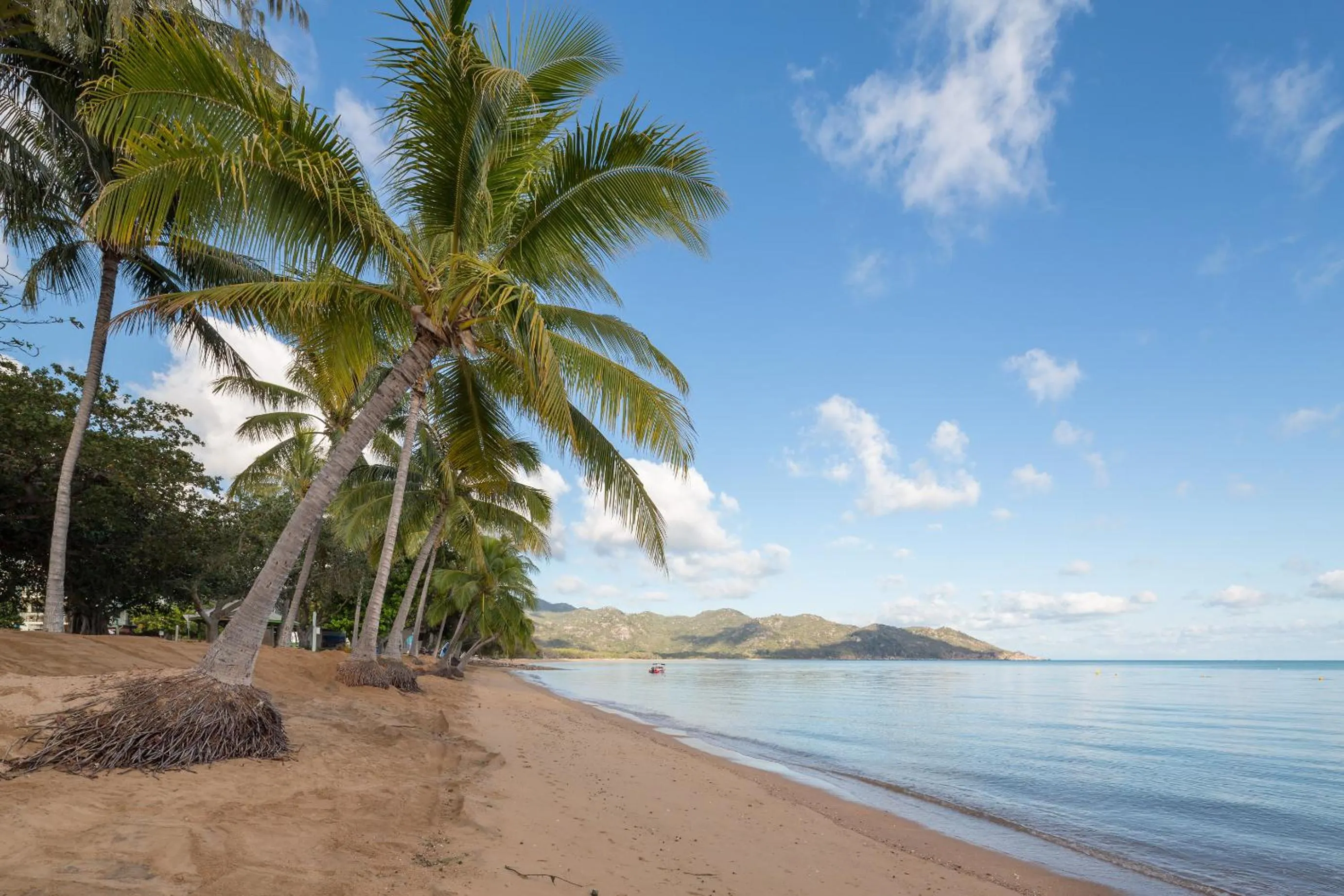 Beach in Sails On Horseshoe