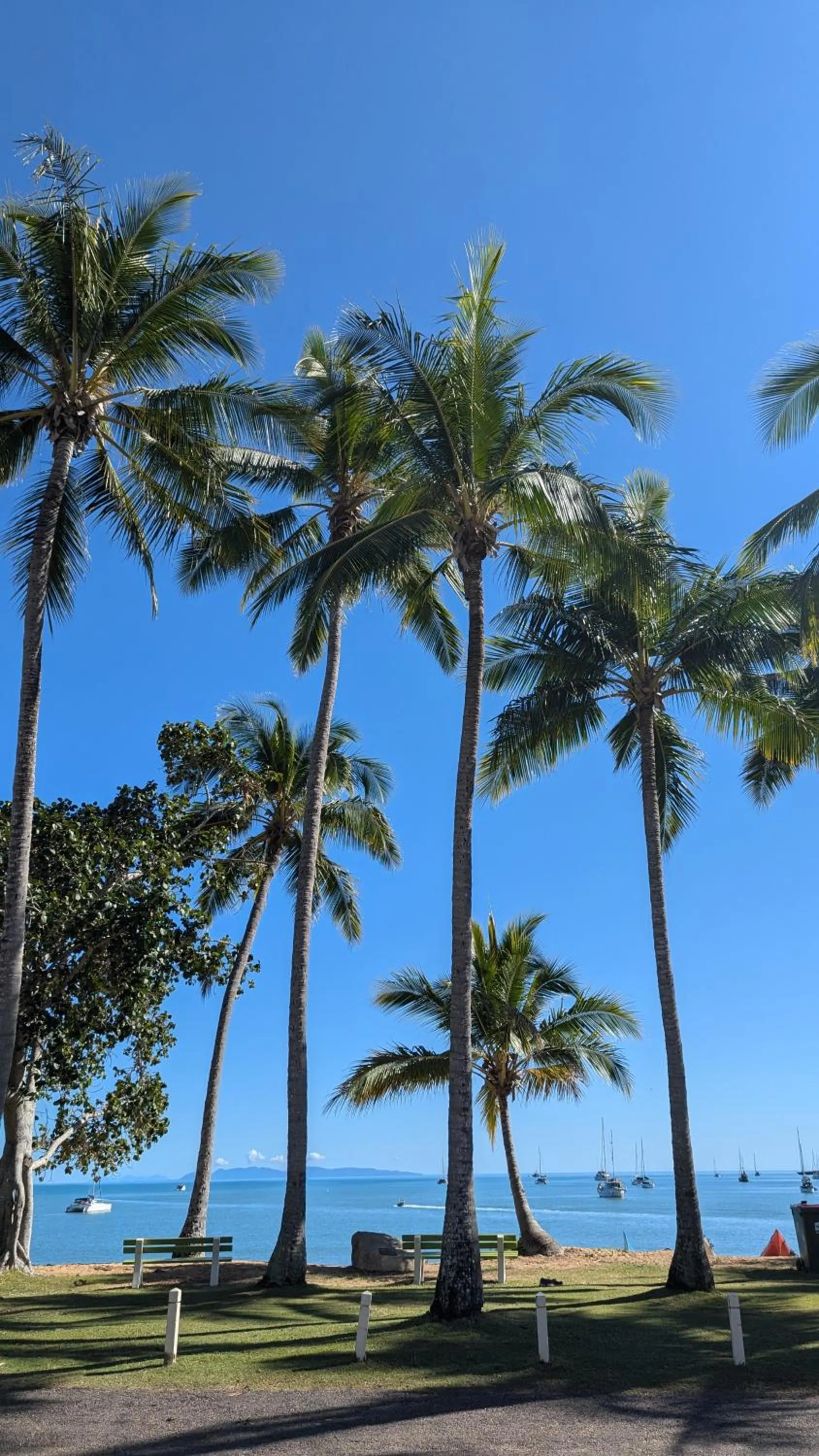 Natural landscape in Sails On Horseshoe