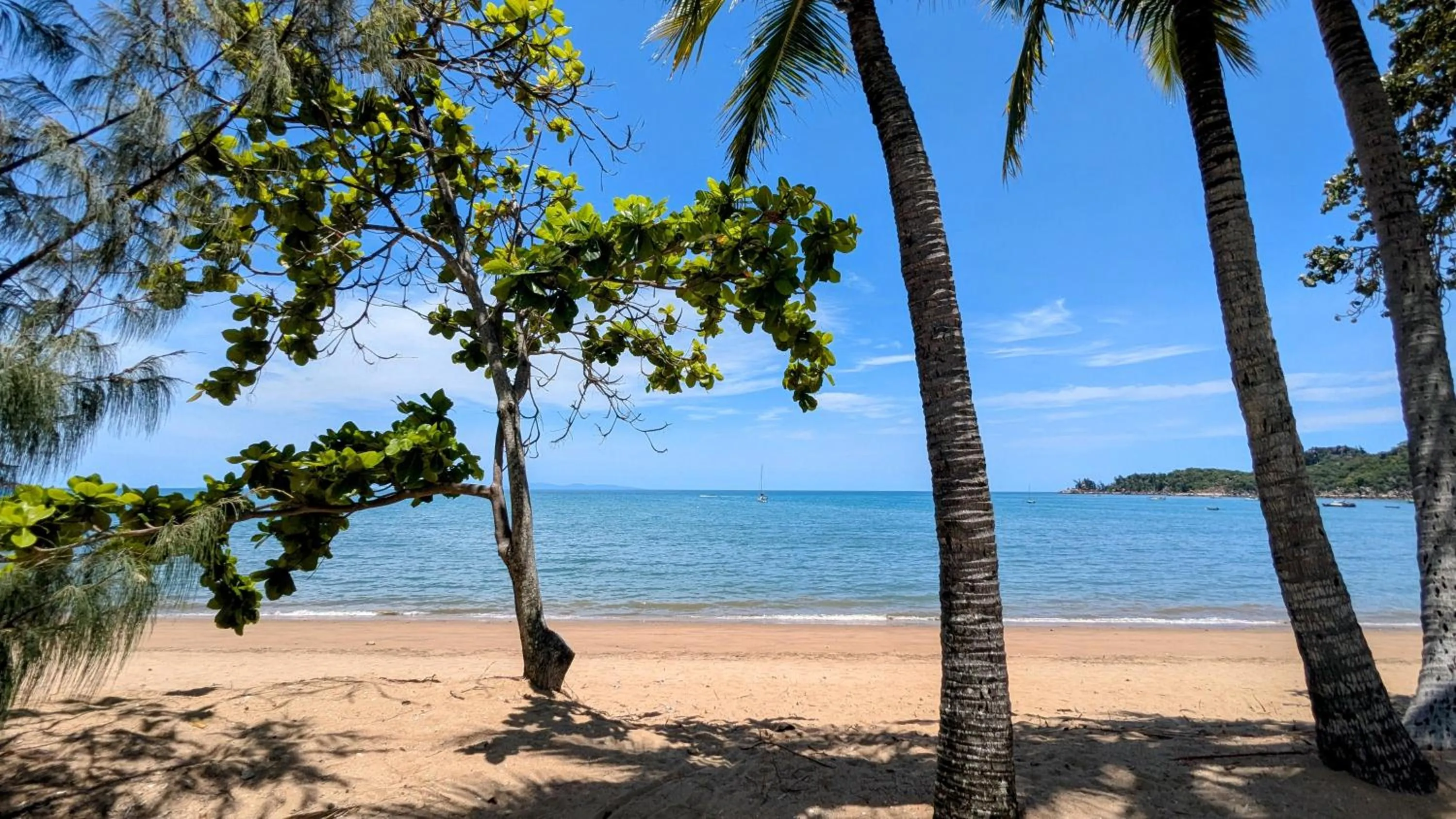 Beach in Sails On Horseshoe