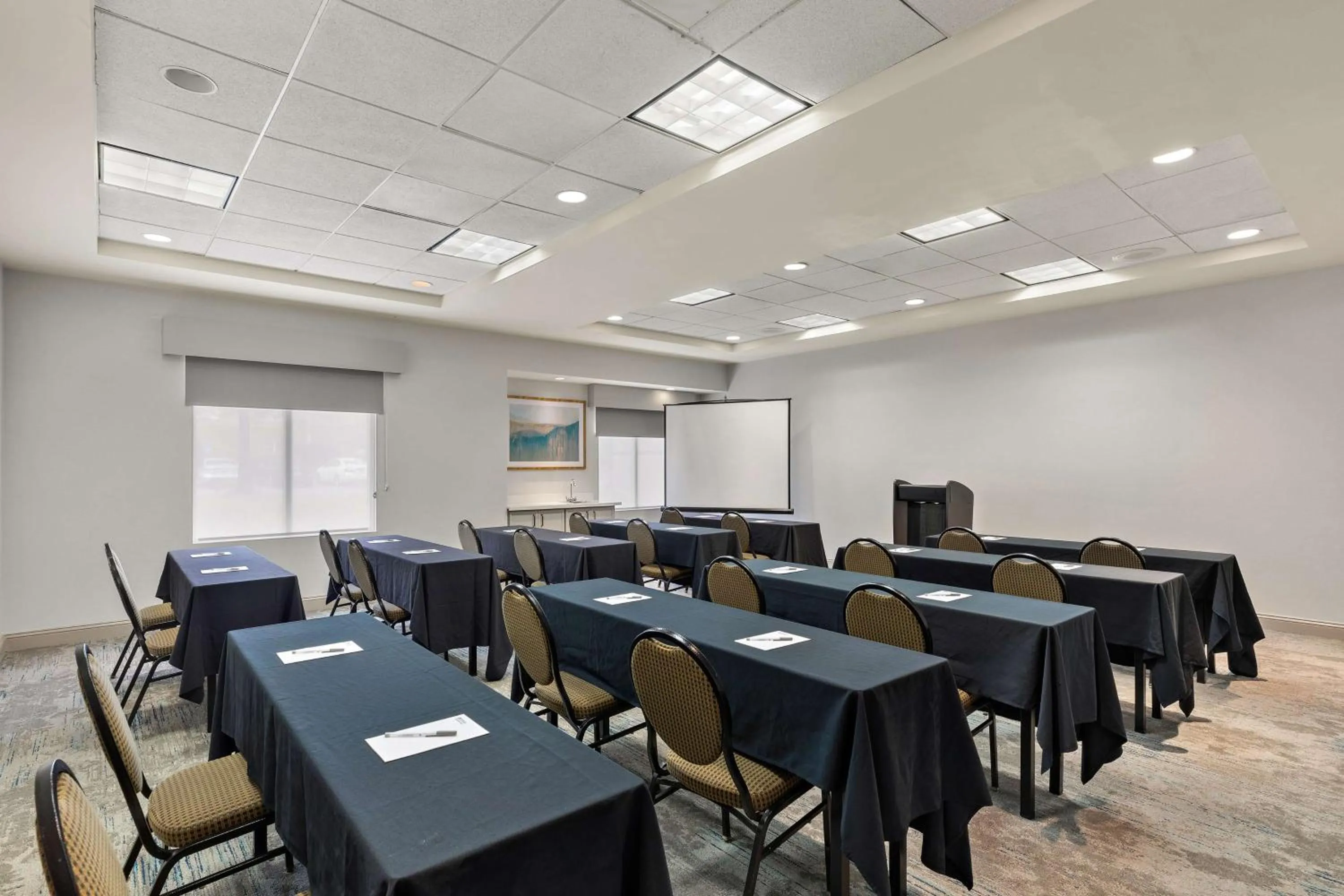 Meeting/conference room in Hilton Garden Inn Atlanta East/Stonecrest
