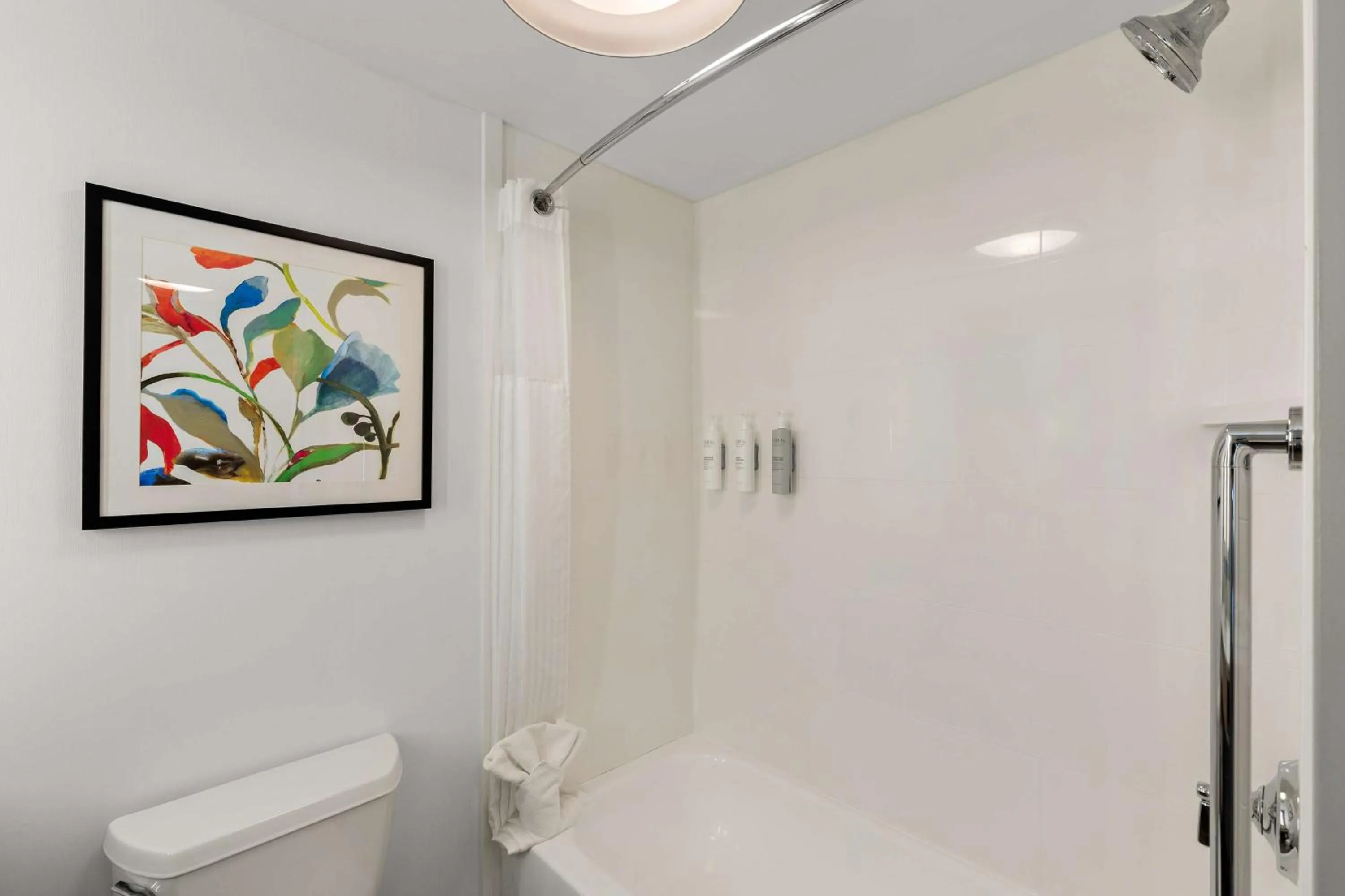 Bathroom in Hilton Garden Inn Atlanta East/Stonecrest