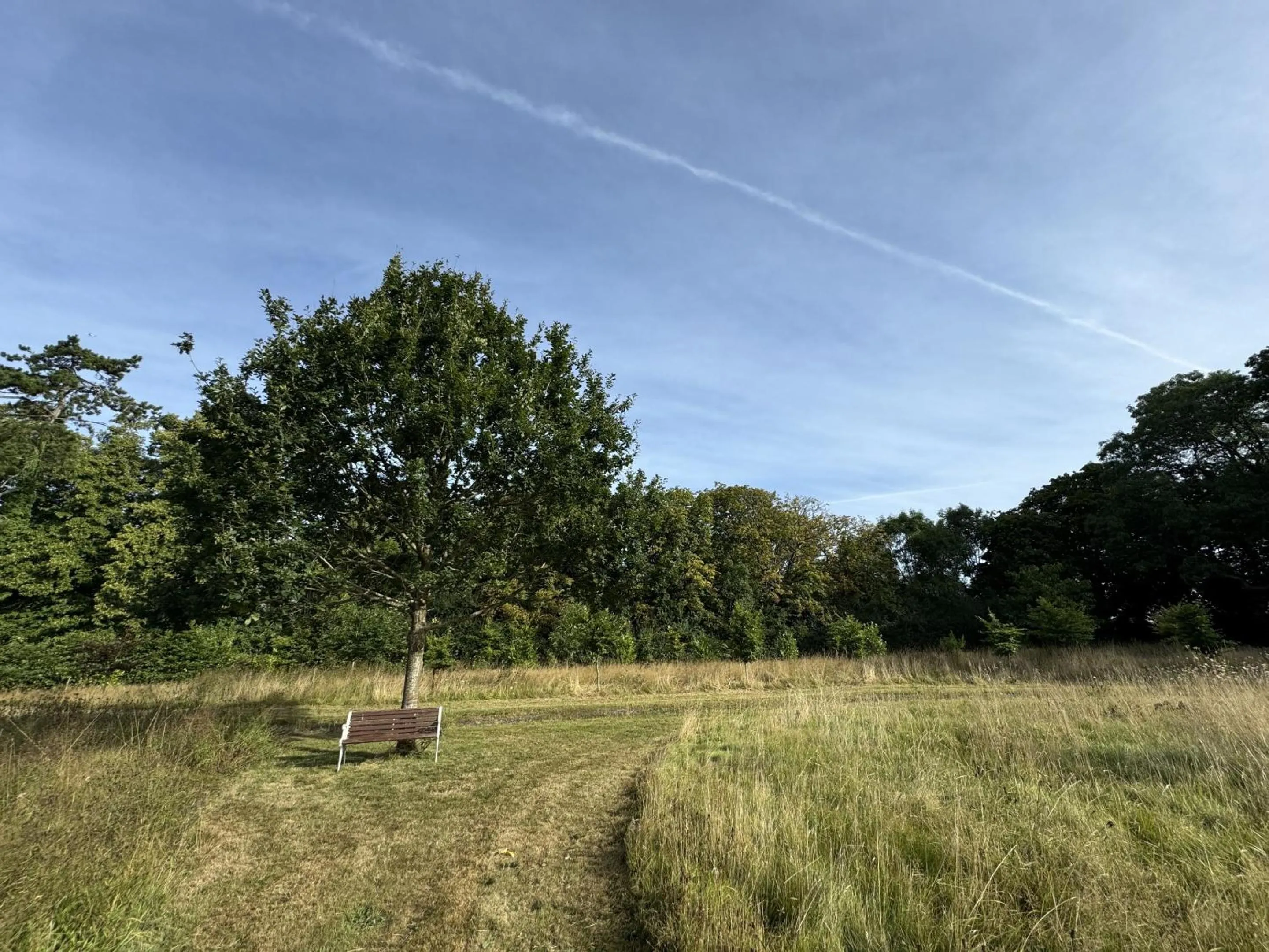 Natural landscape in Hookwood Lodge London Gatwick
