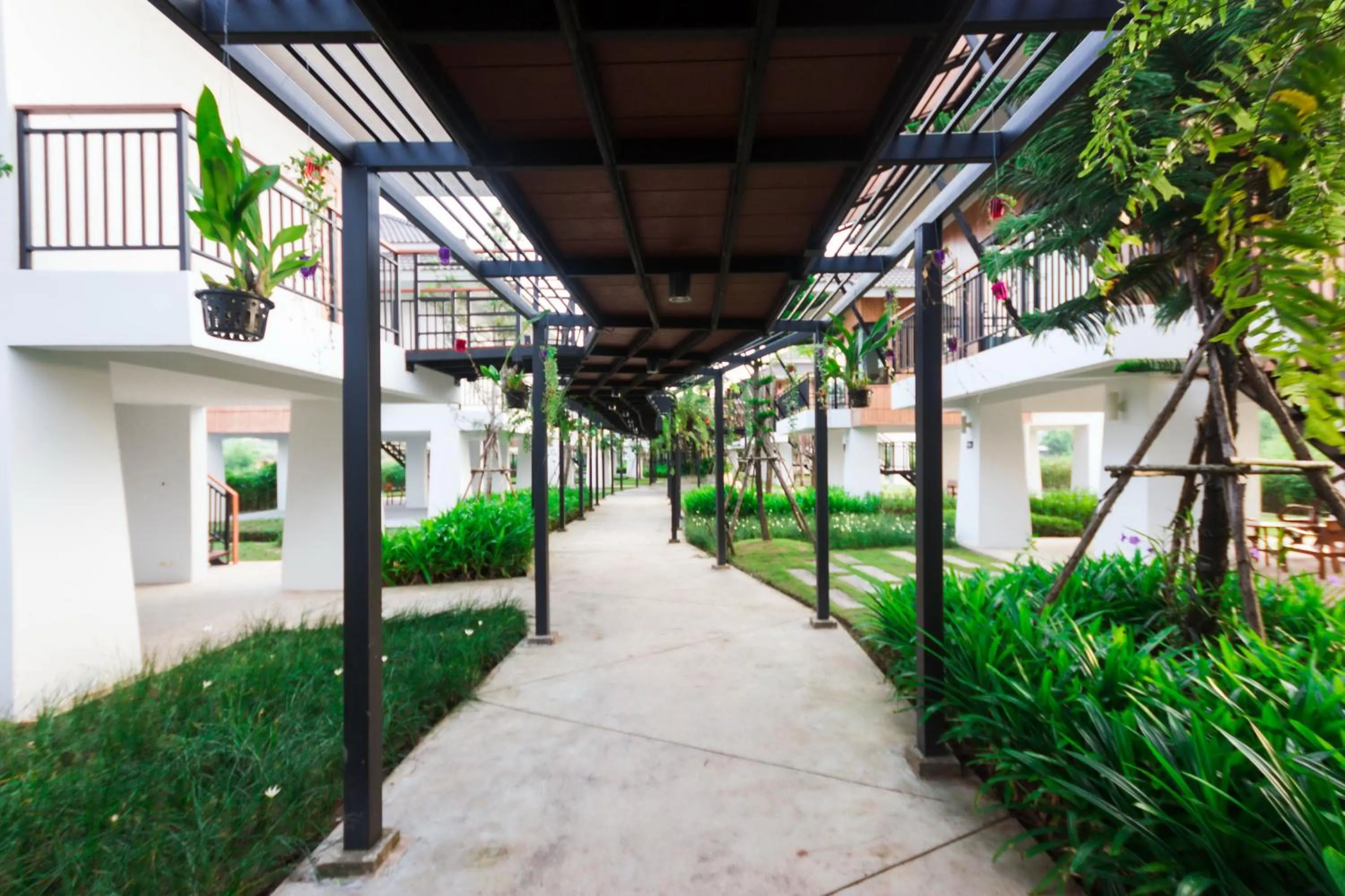 On site in Phuruakeeree Resort