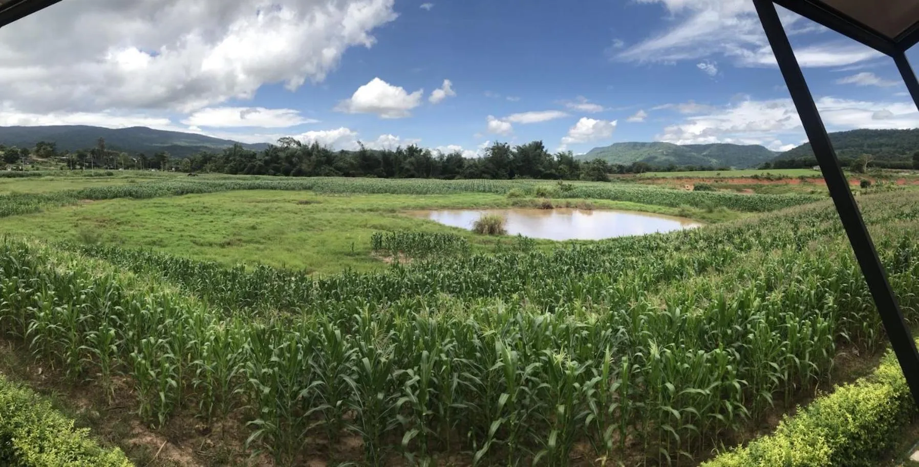 Garden view in Phuruakeeree Resort