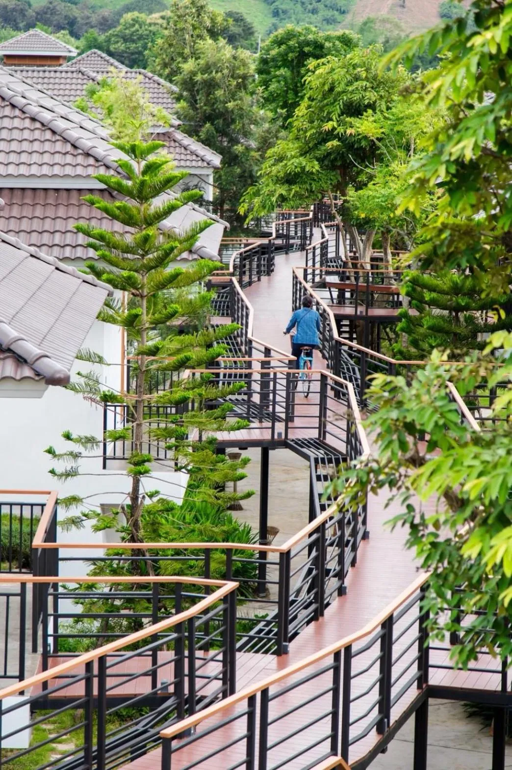 Natural landscape in Phuruakeeree Resort