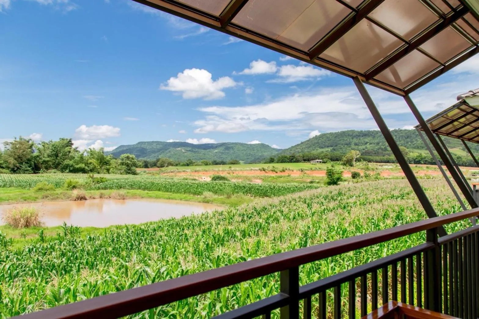 Natural landscape in Phuruakeeree Resort