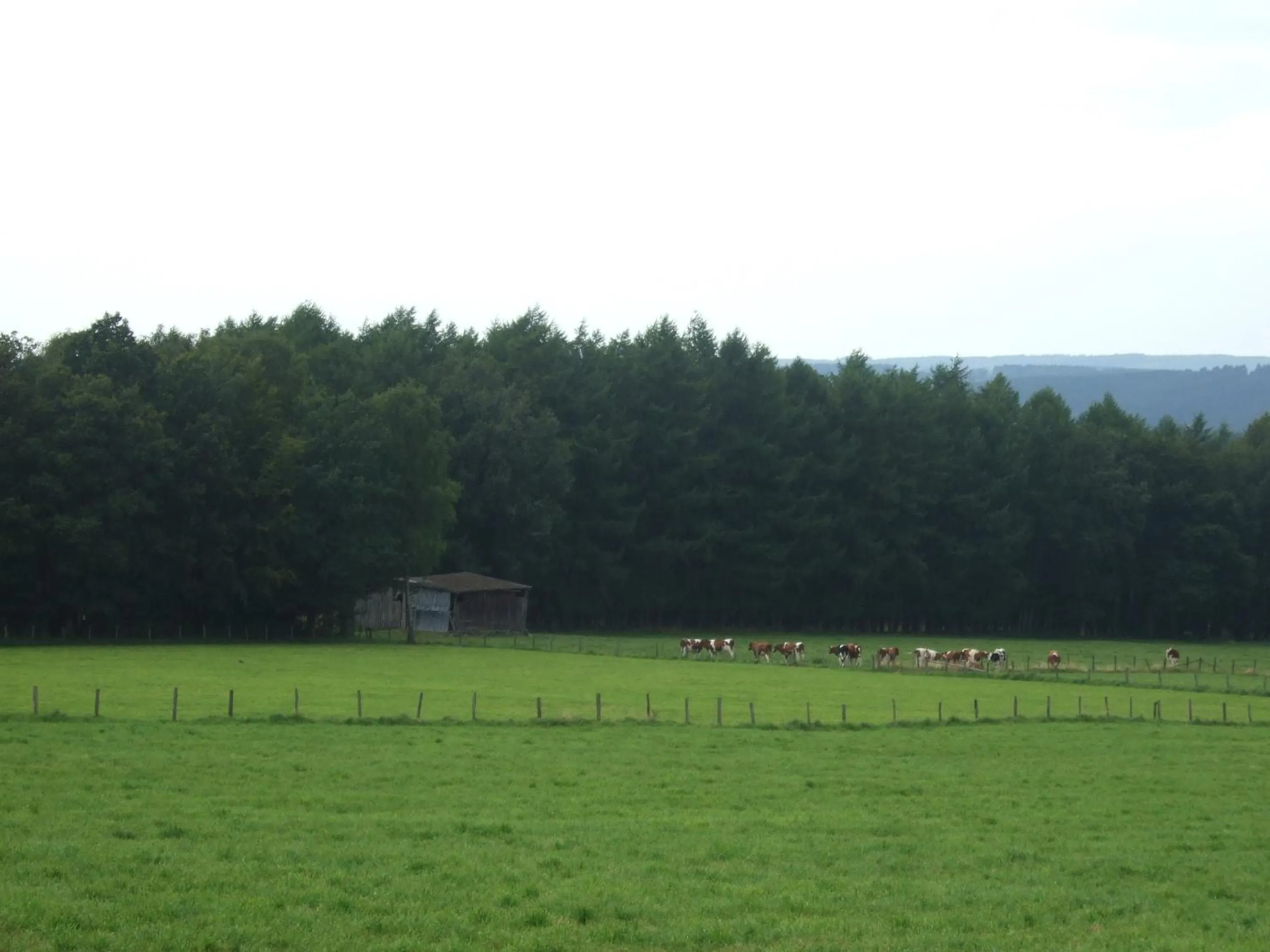 Other in L'Horizon Studios & Apparts